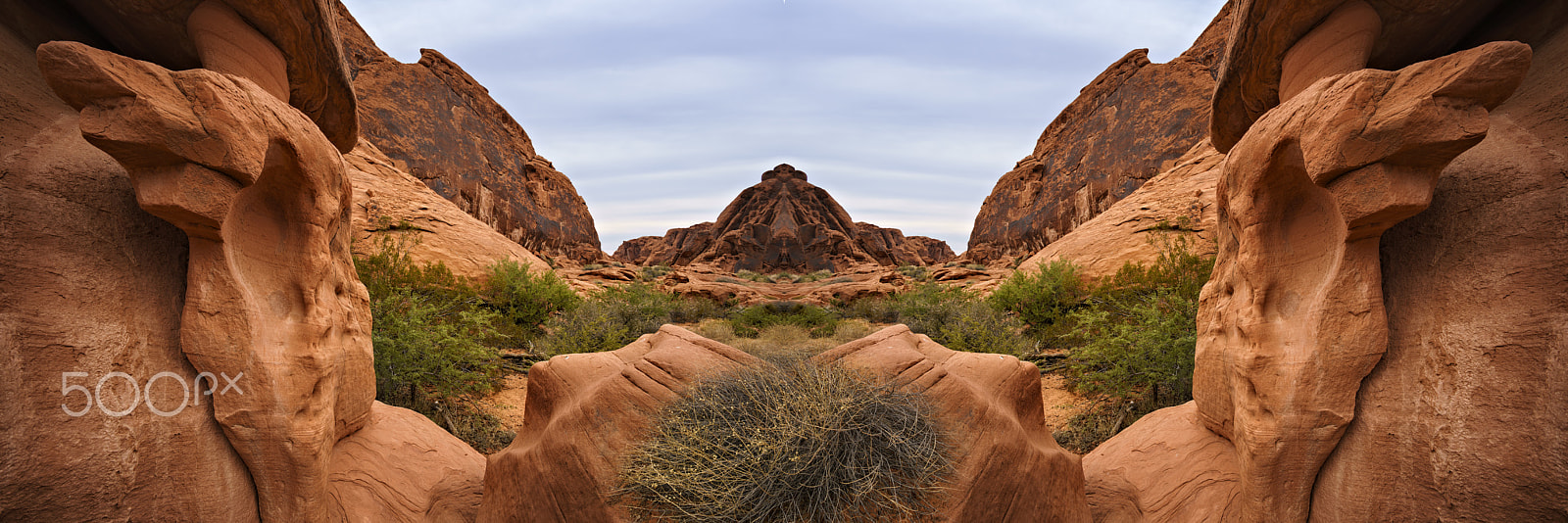 Sony a7R II + Voigtlander SUPER WIDE-HELIAR 15mm F4.5 III sample photo. Valley of fire birds nest photography