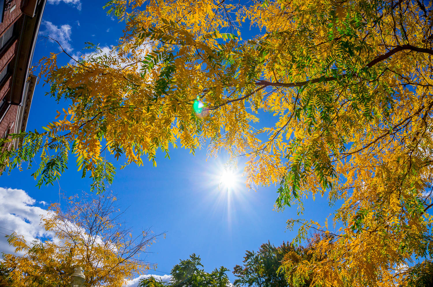 Sony Alpha NEX-F3 sample photo. Fall is coming photography