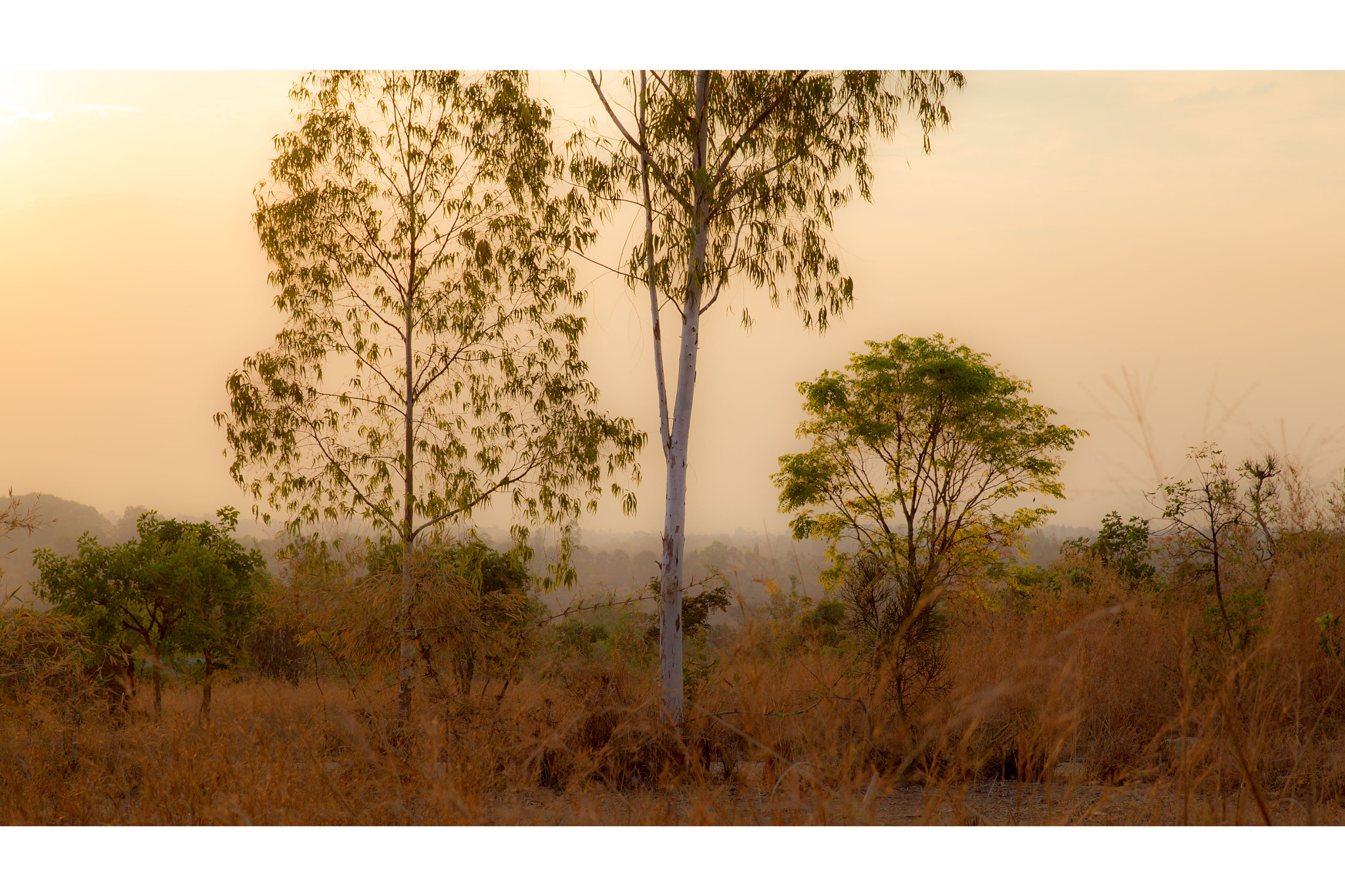 Canon EOS-1D Mark IV sample photo. Gd photography