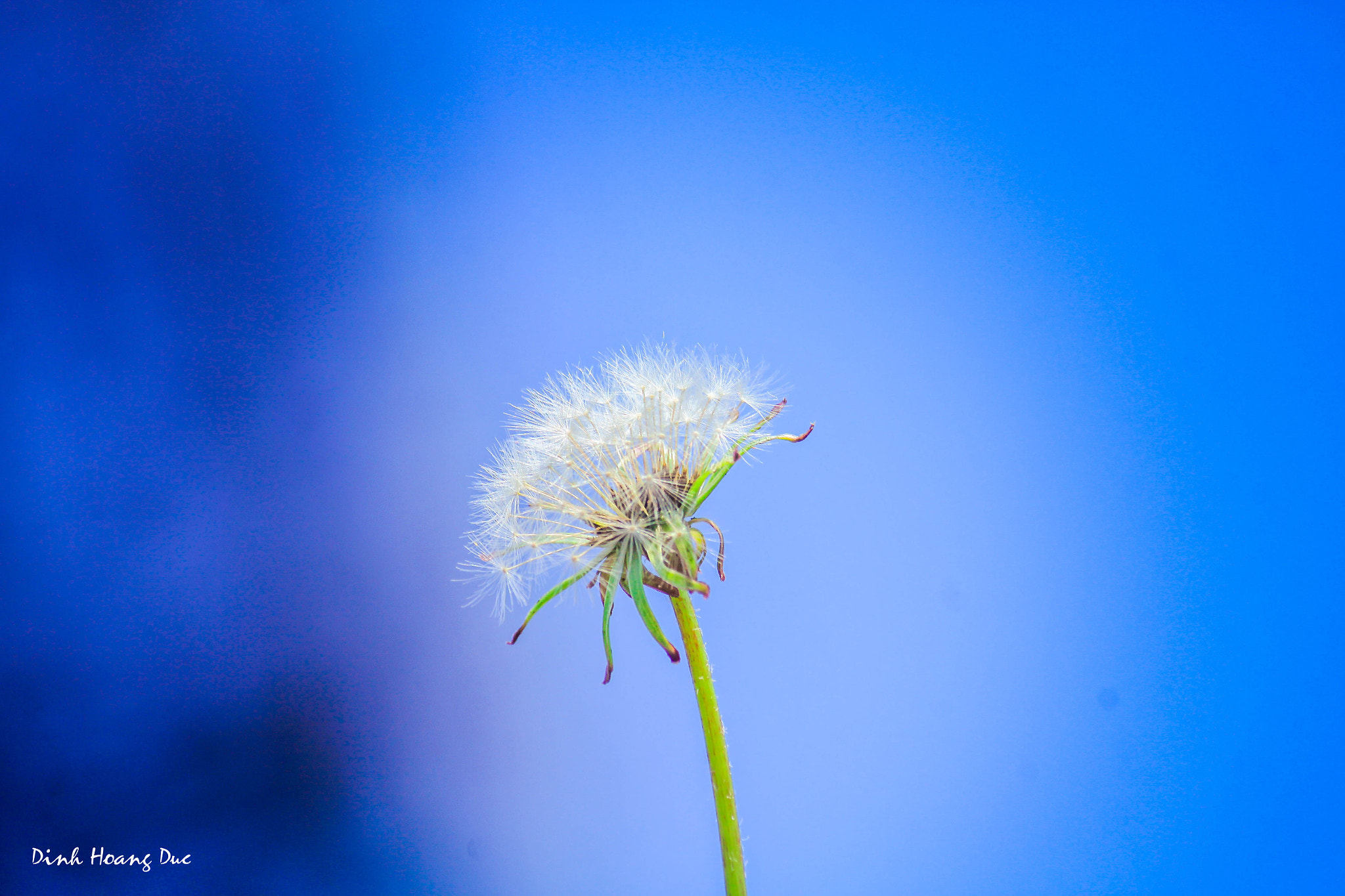 Canon EF-S 55-250mm F4-5.6 IS sample photo