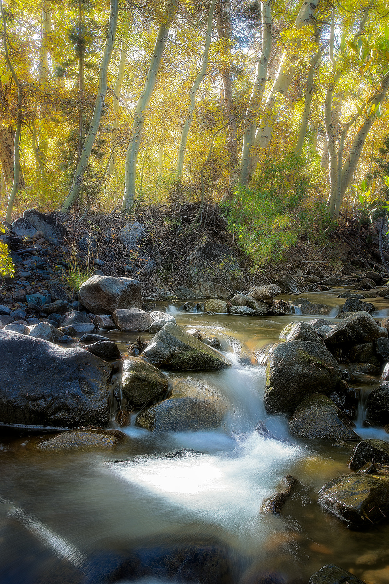 Sony a7R II + Canon EF 24-70mm F4L IS USM sample photo. Hidden flow photography