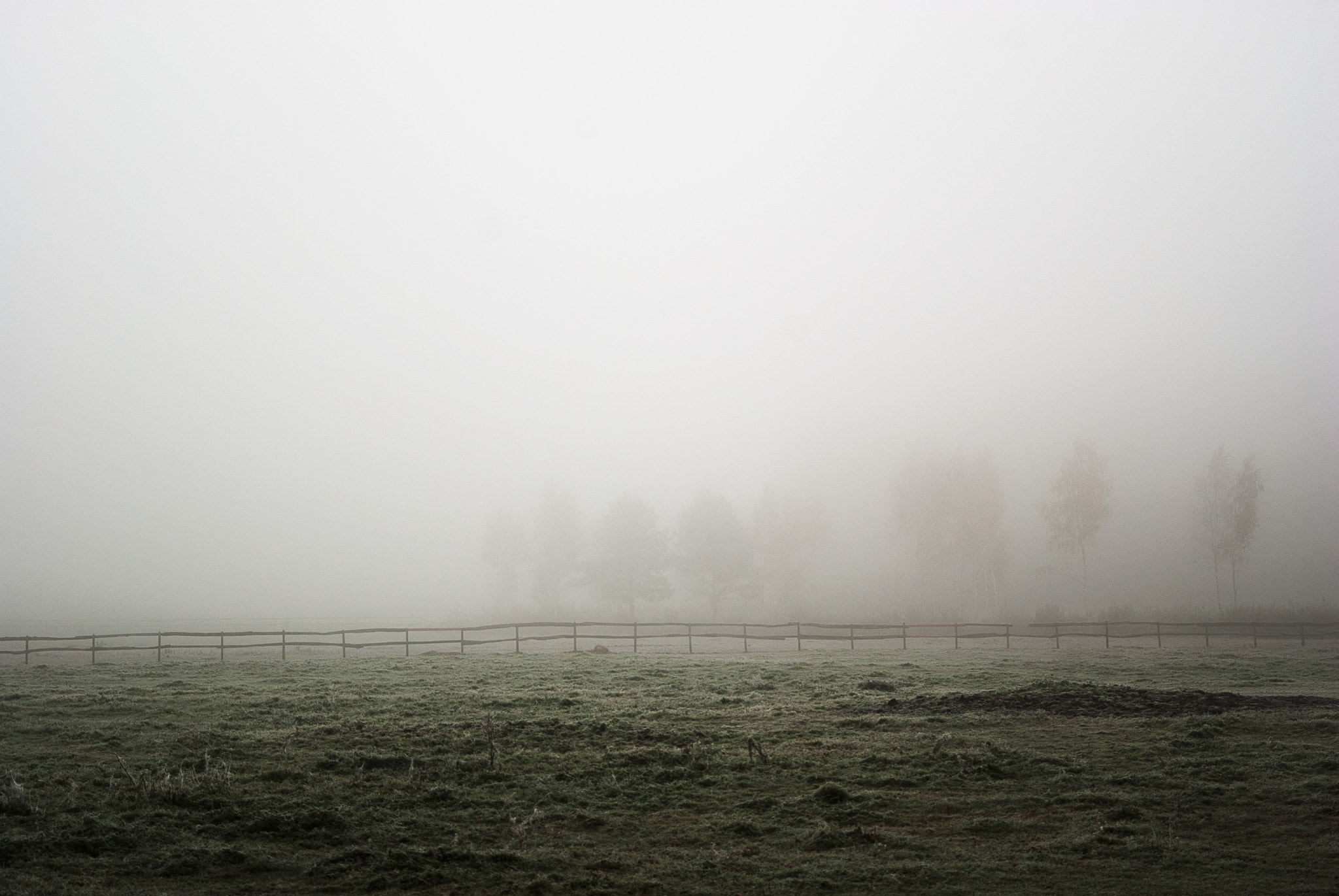 Nikon D80 sample photo. Mist and fence photography
