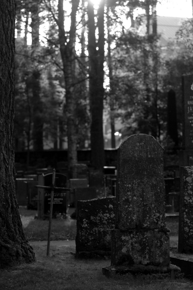 Nikon D2X sample photo. Peaceful photography