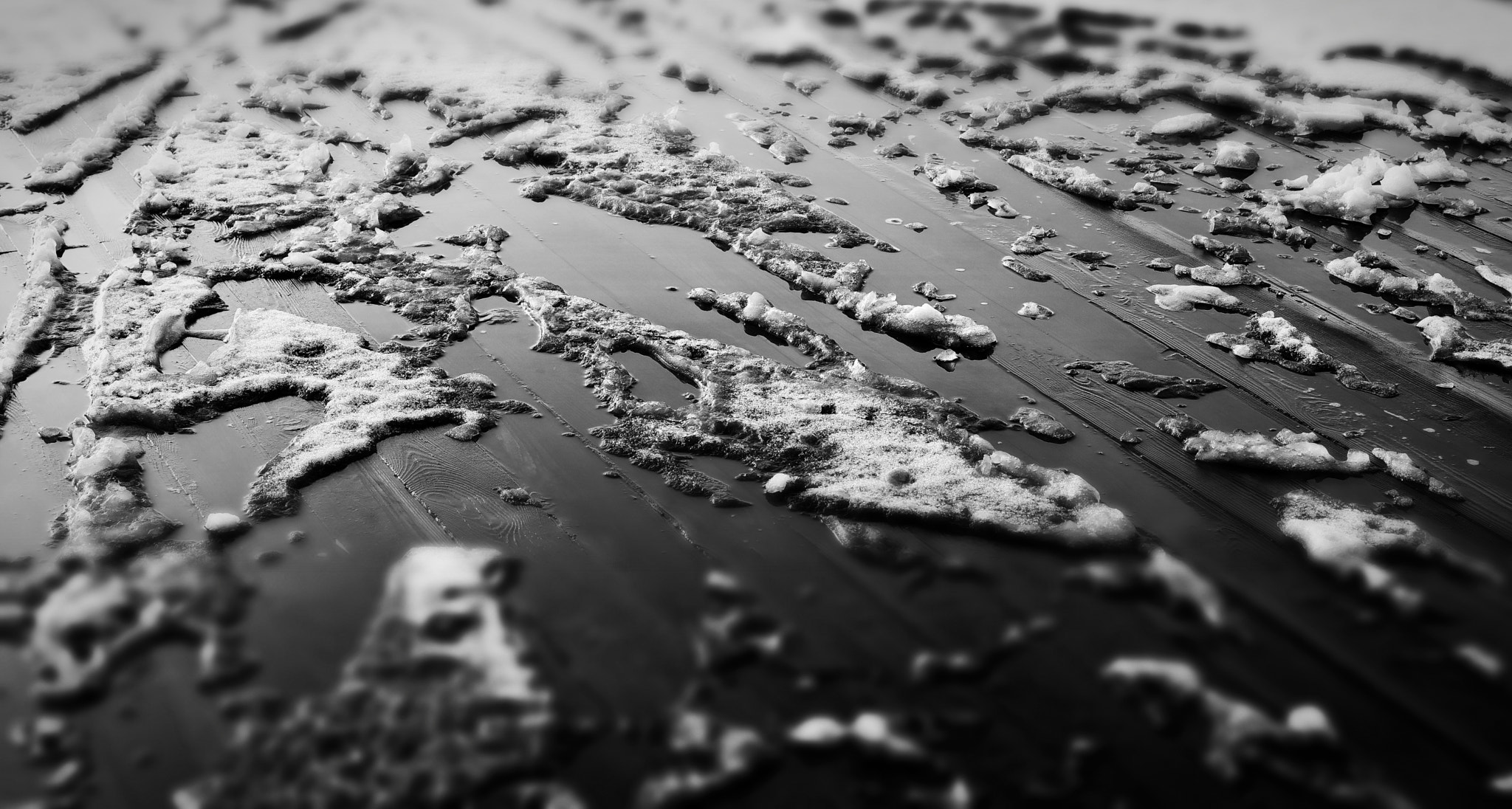 Tamron SP 70-200mm F2.8 Di VC USD sample photo. Soon... winter is coming  photography