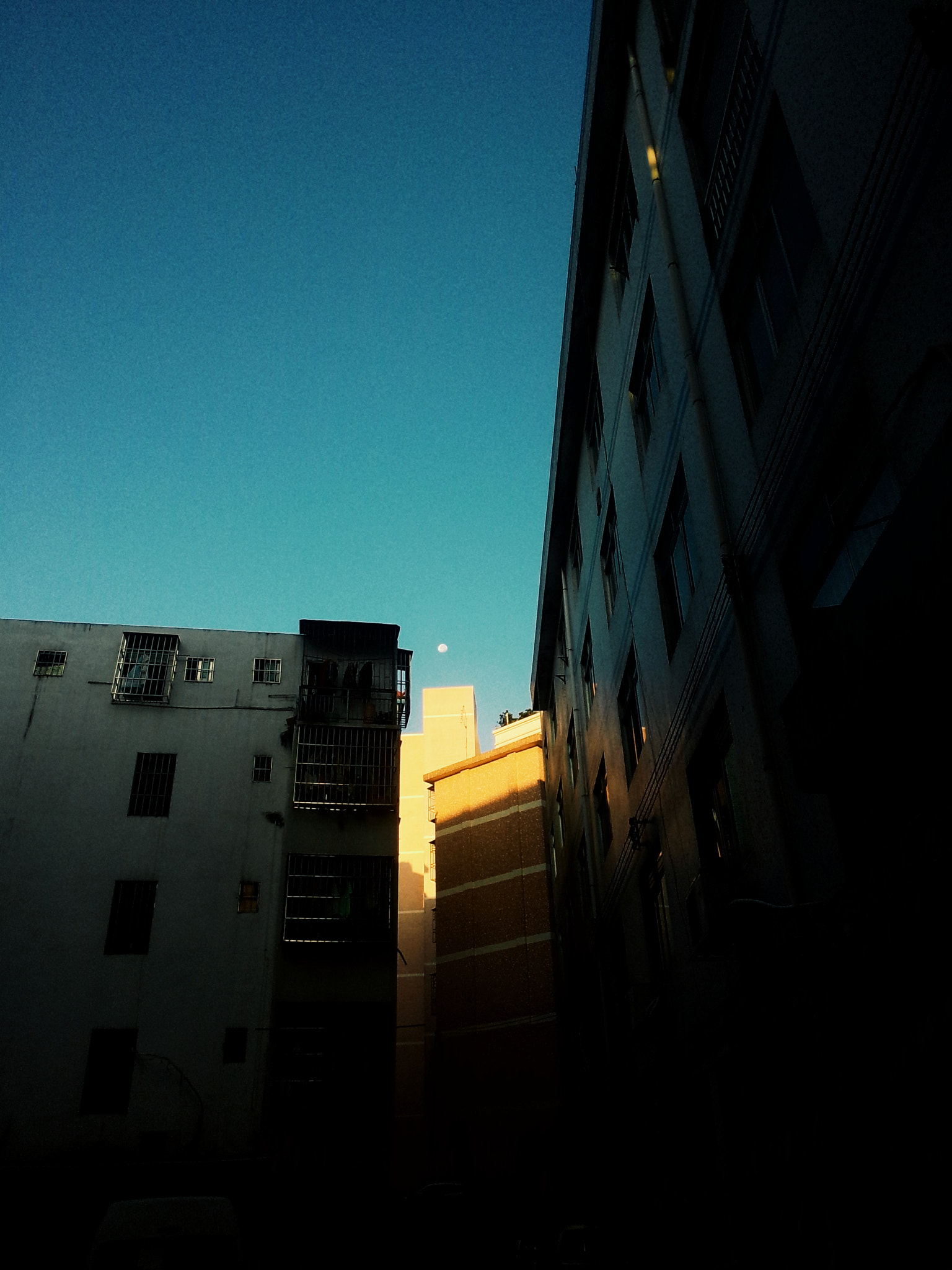 Meizu MX(35) sample photo. Morning photography