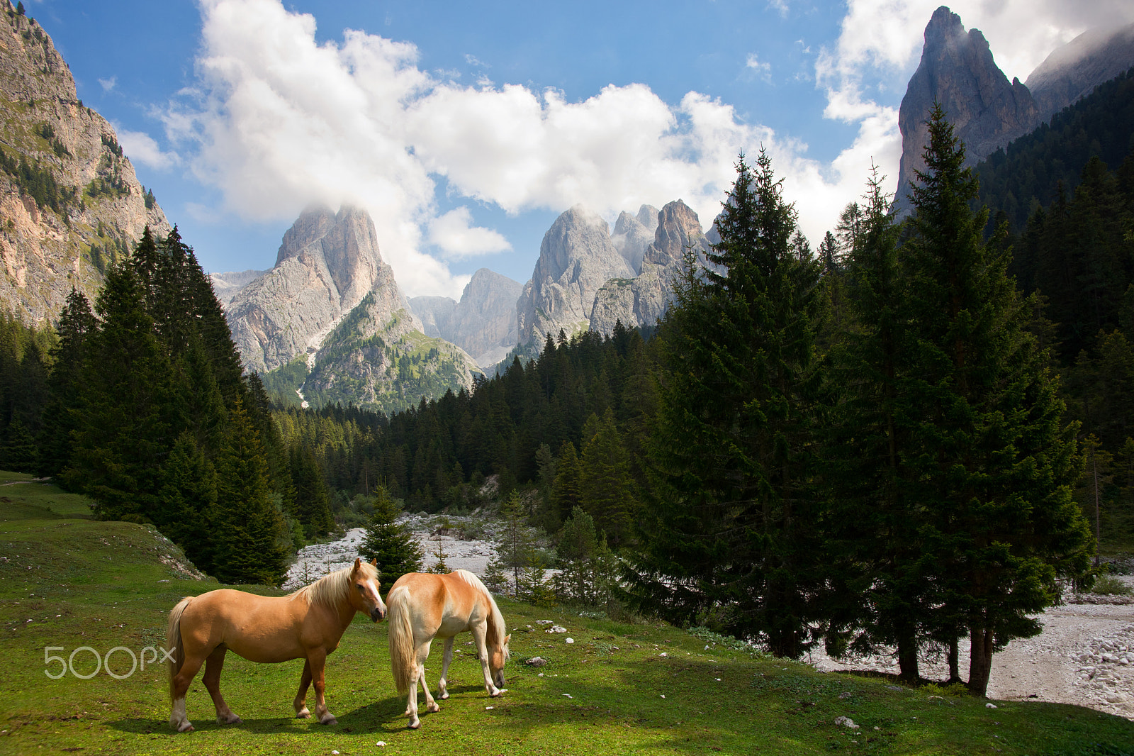 Sony Alpha DSLR-A850 sample photo. Tschamintal, dolomites photography