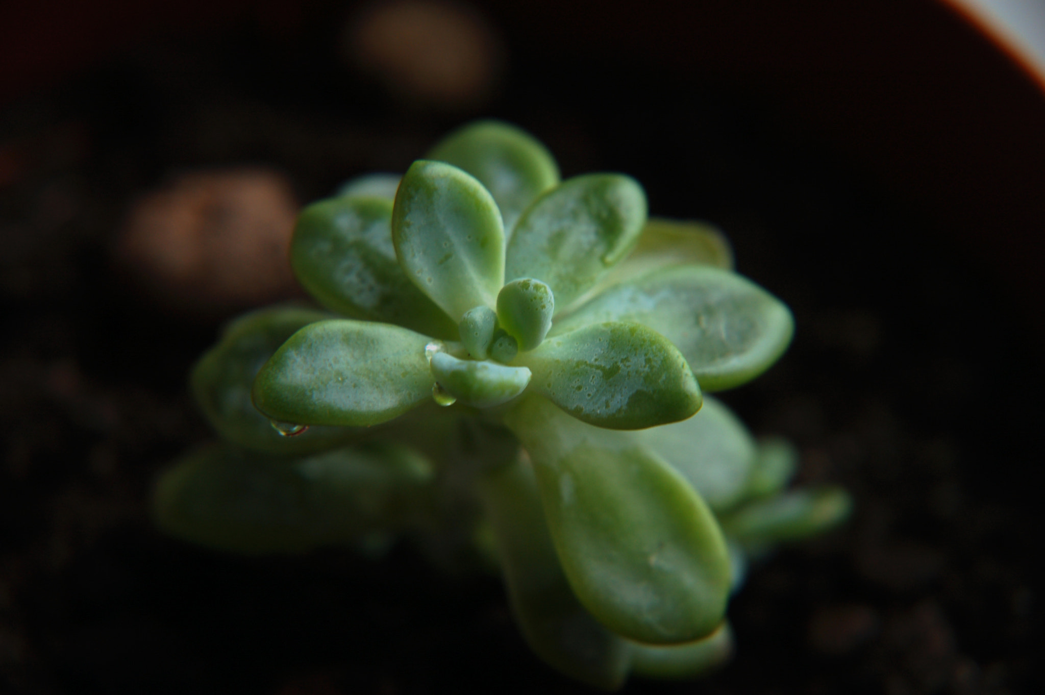 Nikon D50 sample photo. M photography