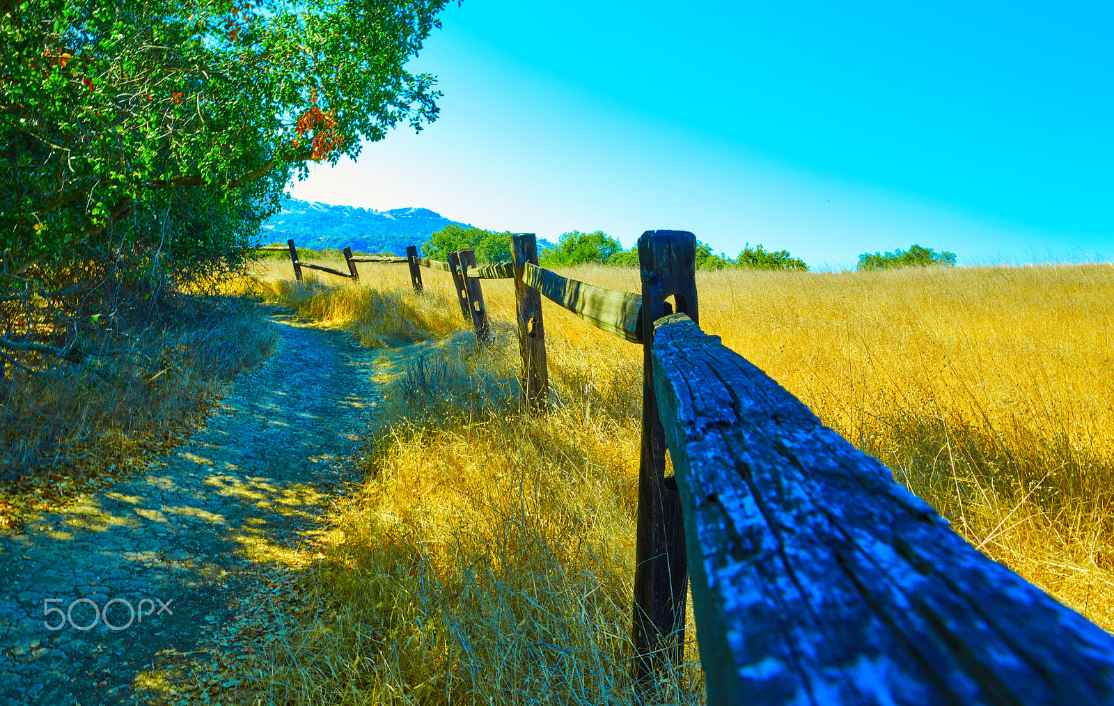 Schneider Kreuznach LS 35mm LS f/3.5 sample photo. Malibu trail photography