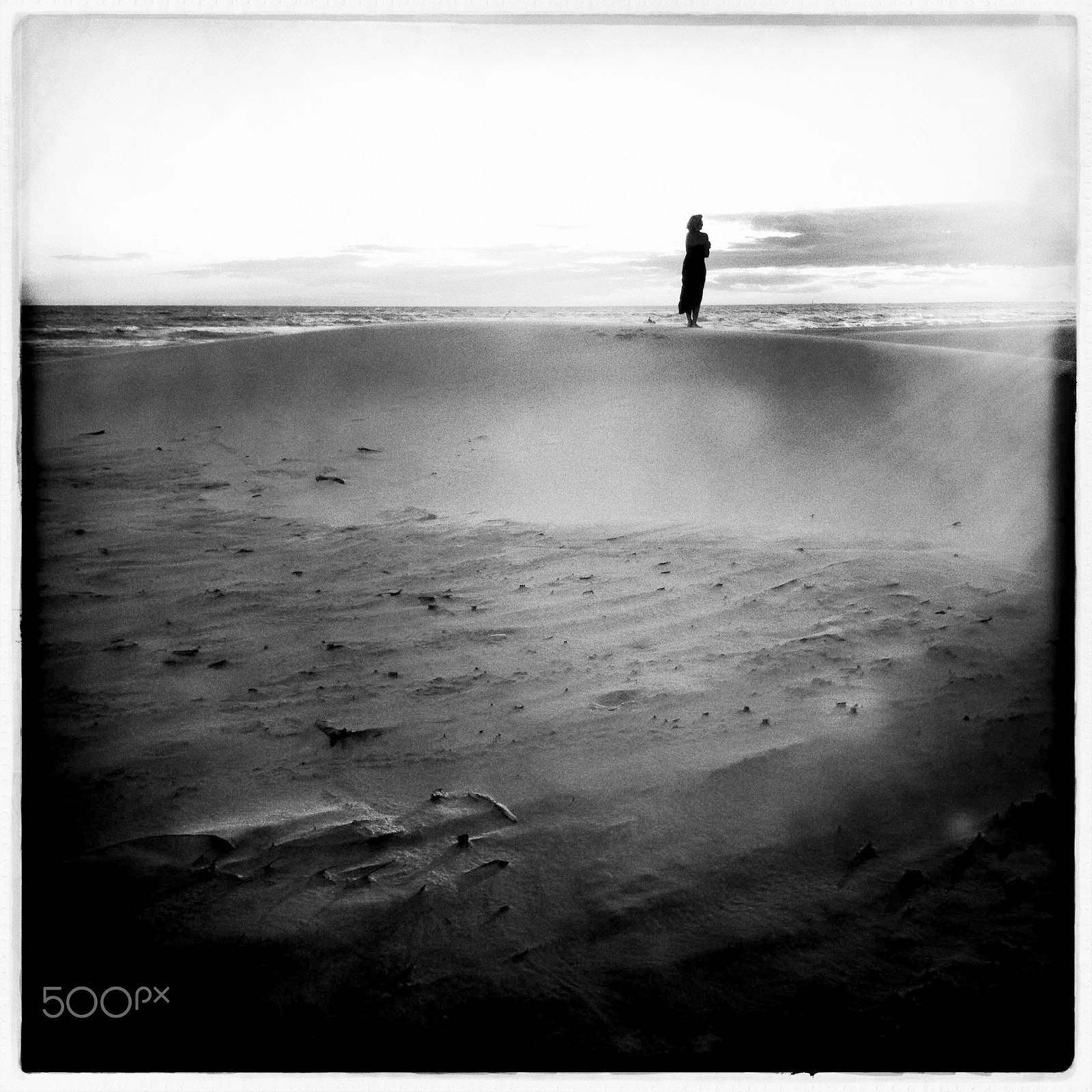 Hipstamatic 276 sample photo. Camargue nr 1 photography