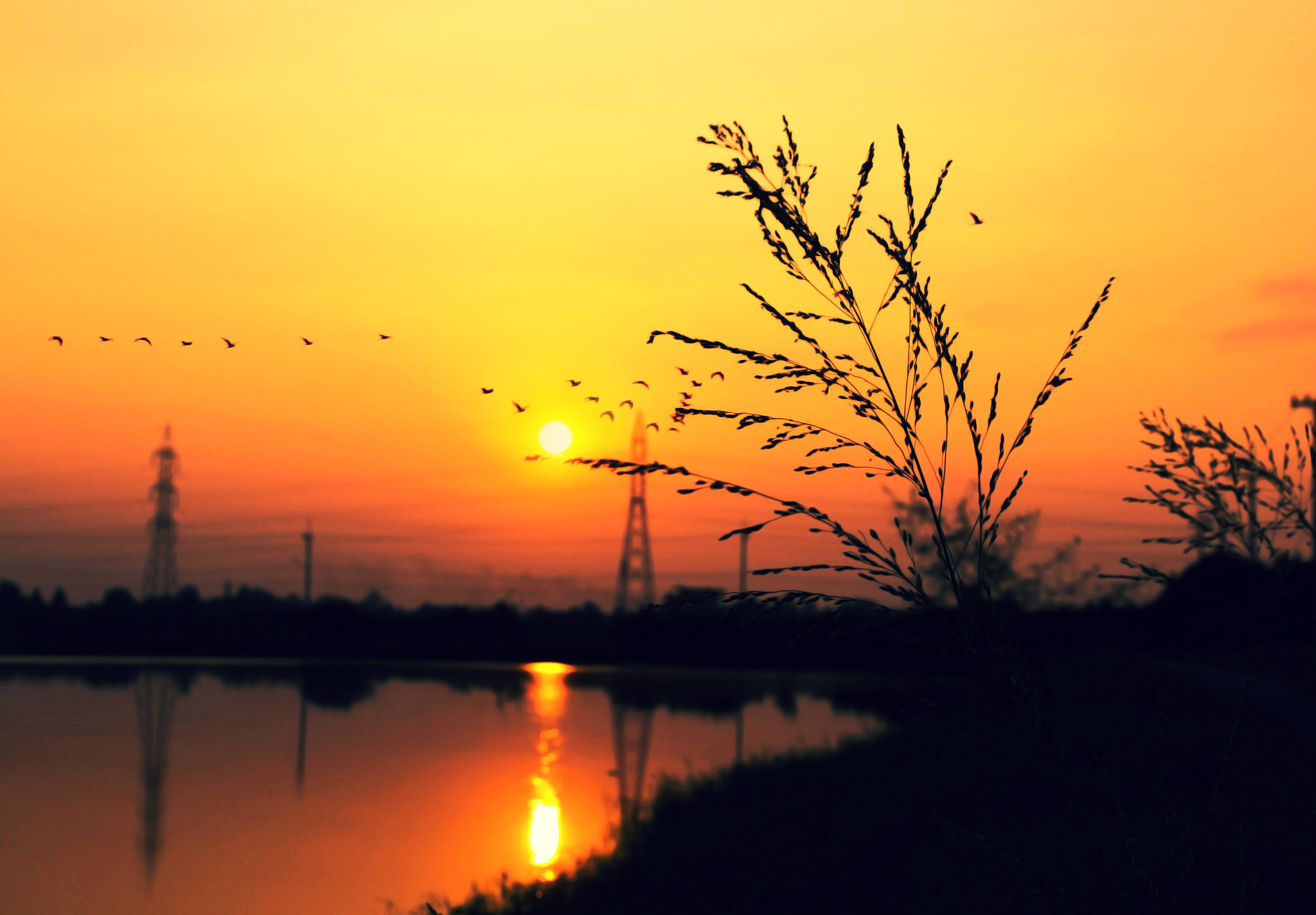Nikon D3100 + 18.00 - 55.00 mm f/3.5 - 5.6 sample photo. Sunset at the river photography
