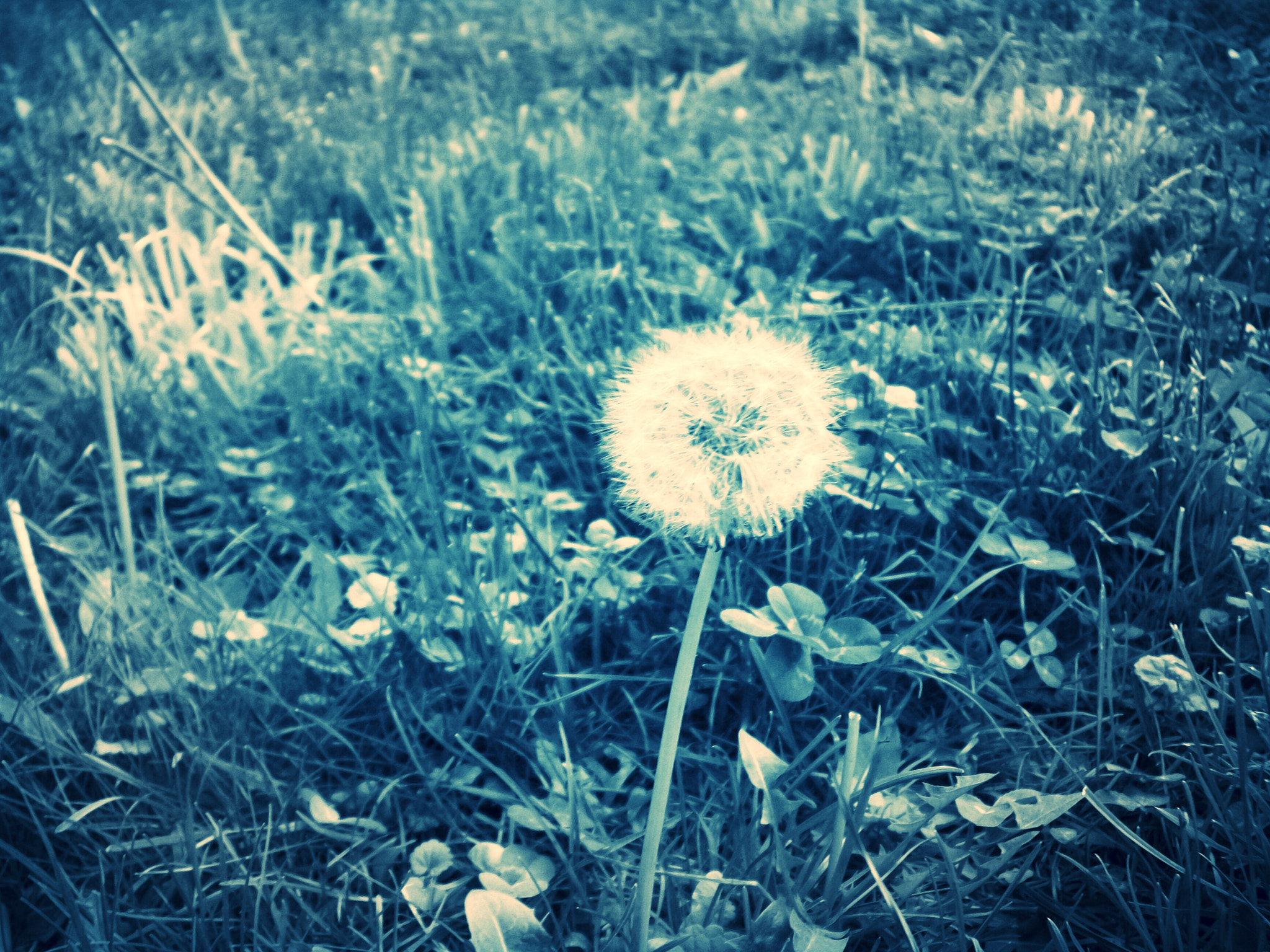 Kodak EasyShare C913 sample photo. Leave me. photography