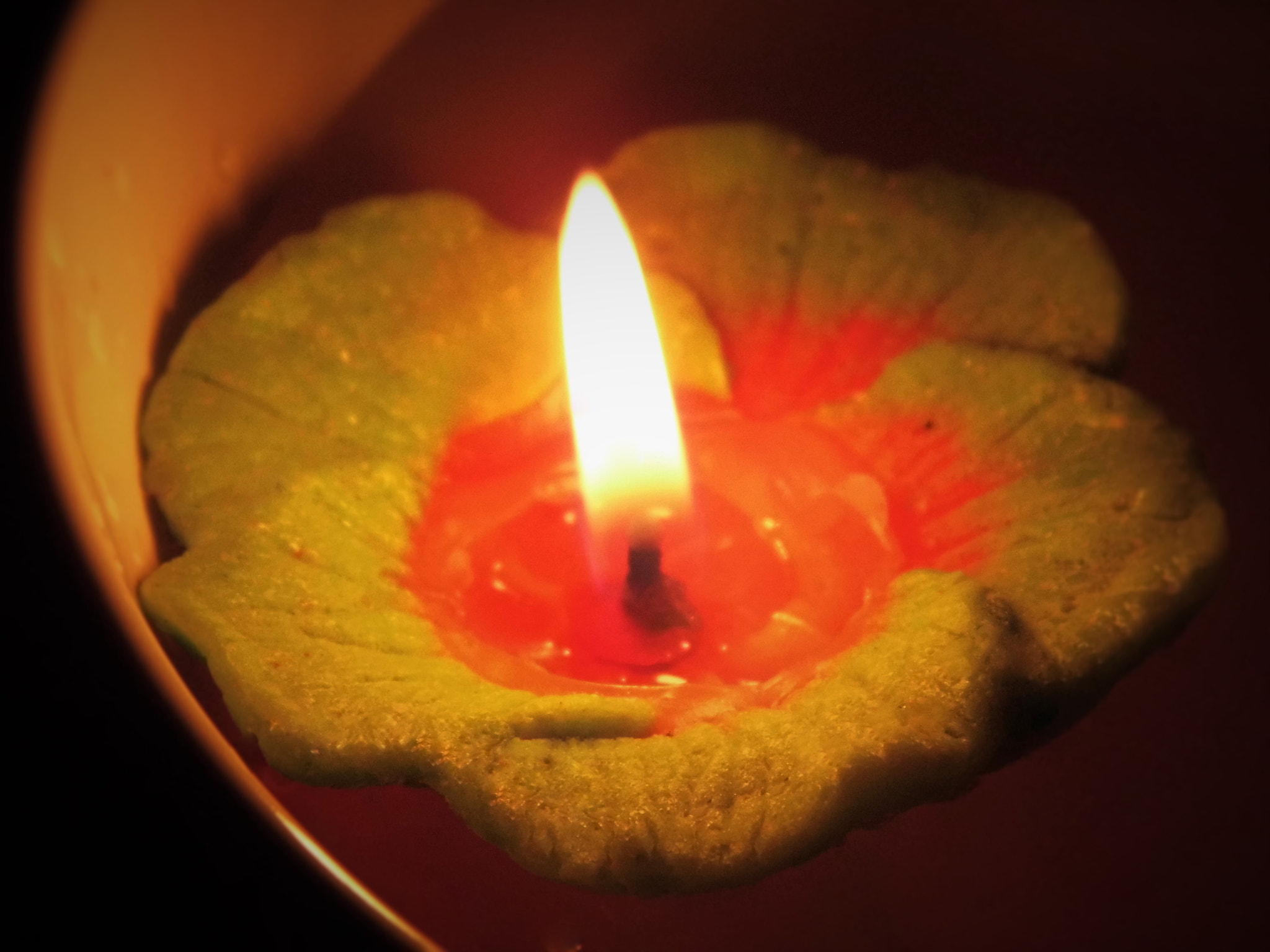 Panasonic Lumix DMC-LZ20 sample photo. Flower candle photography