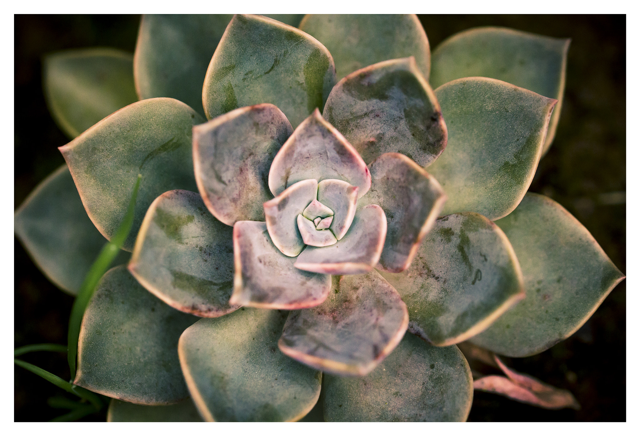 Canon EOS 650D (EOS Rebel T4i / EOS Kiss X6i) sample photo. Patterns photography