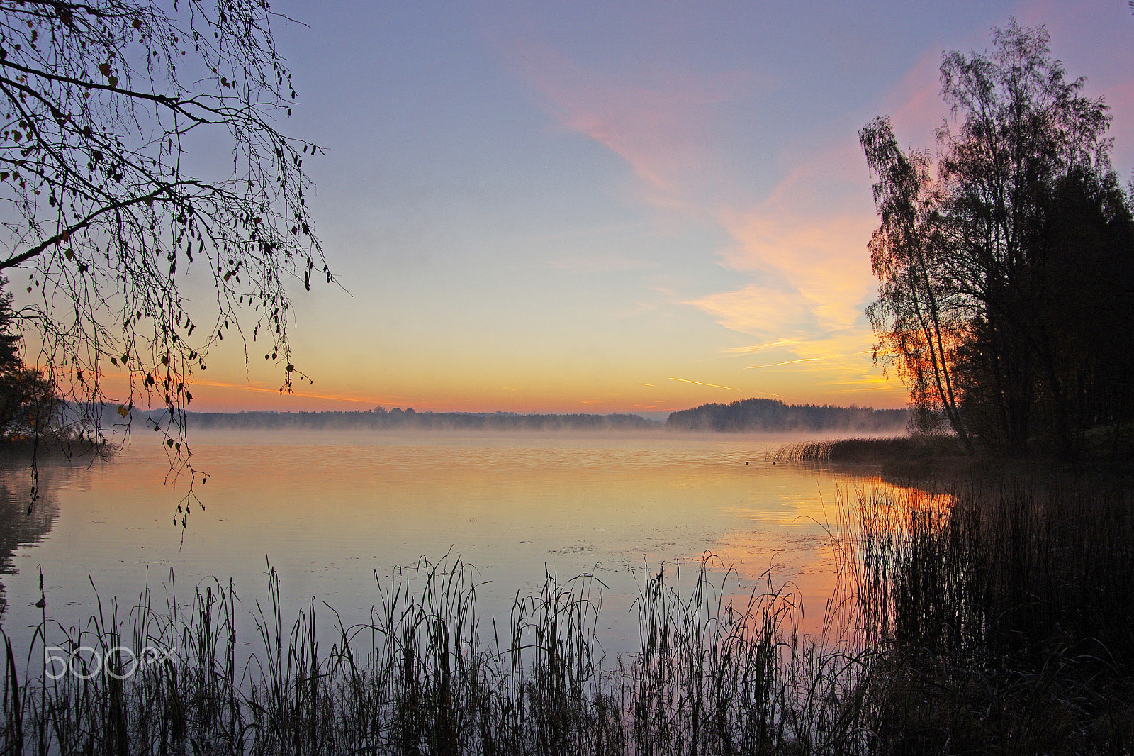 Pentax K-5 II sample photo. Labas rytas! photography