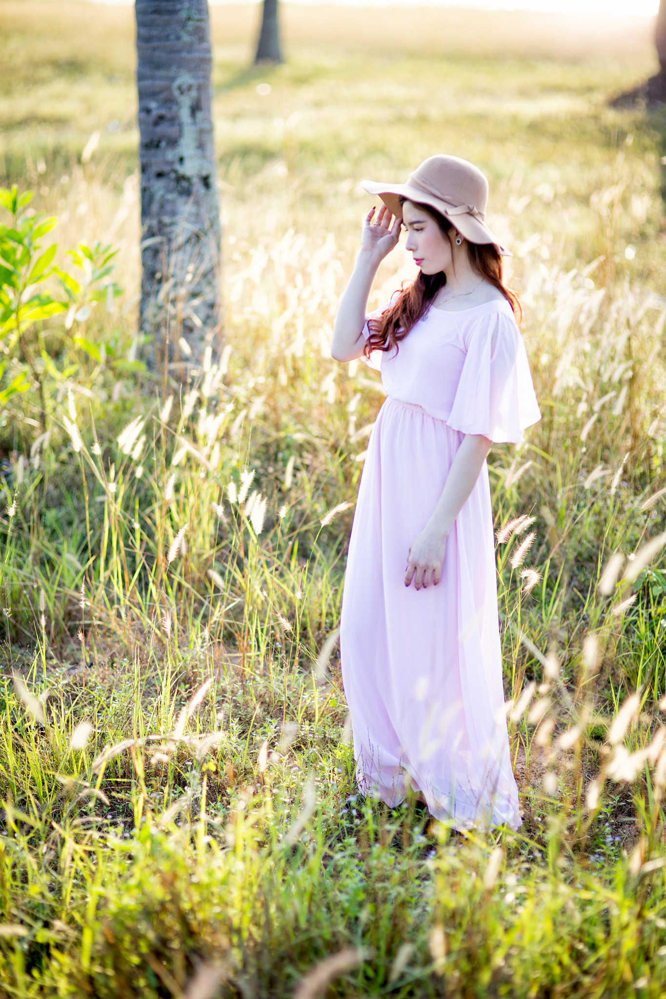 Sigma 85mm F1.4 EX DG HSM sample photo. Awt photography