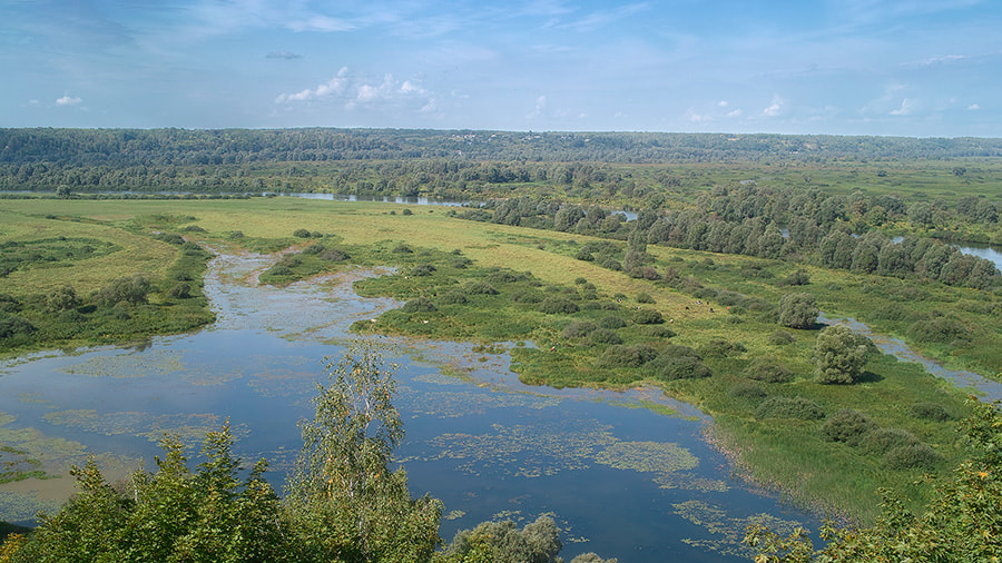 Sigma DP2 sample photo. In floodplain of desna river. photography