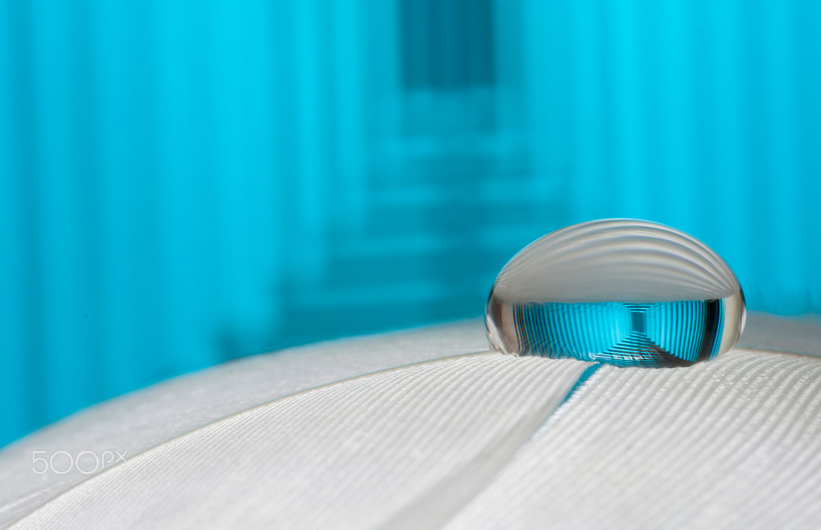 Canon EF-S 60mm F2.8 Macro USM sample photo. Blue drop-pattern photography