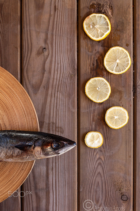 Canon EOS 50D sample photo. Mackerel and the bubble slices. photography