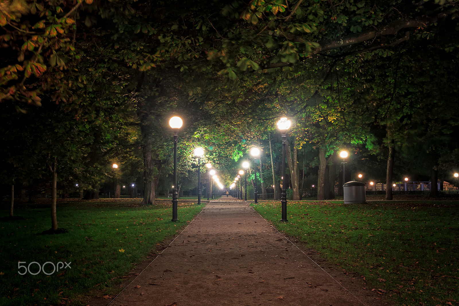 Canon EOS 50D + Canon EF-S 24mm F2.8 STM sample photo. Night in the kadriorg park photography