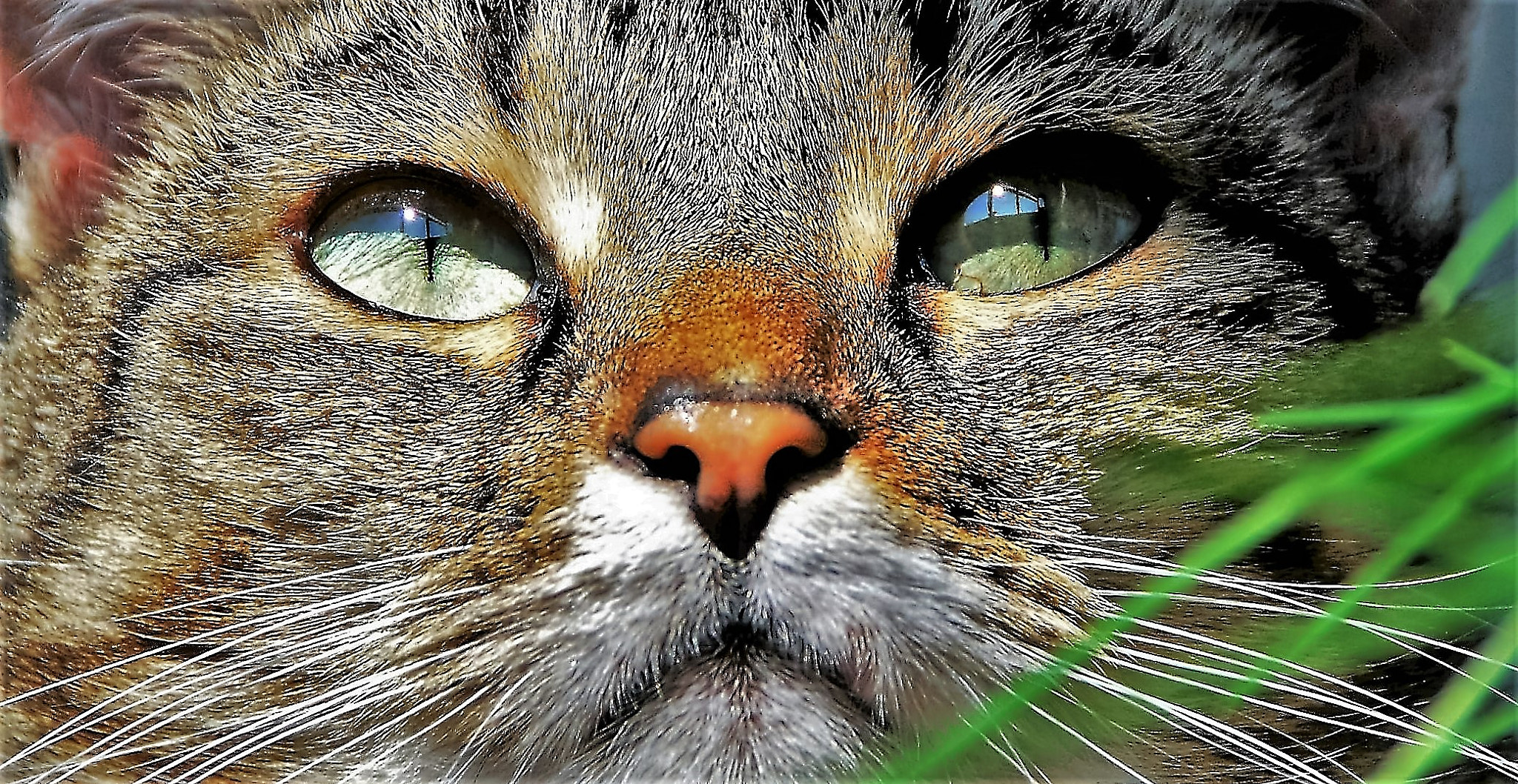 Nikon D40X sample photo. Little sun in their eyes photography