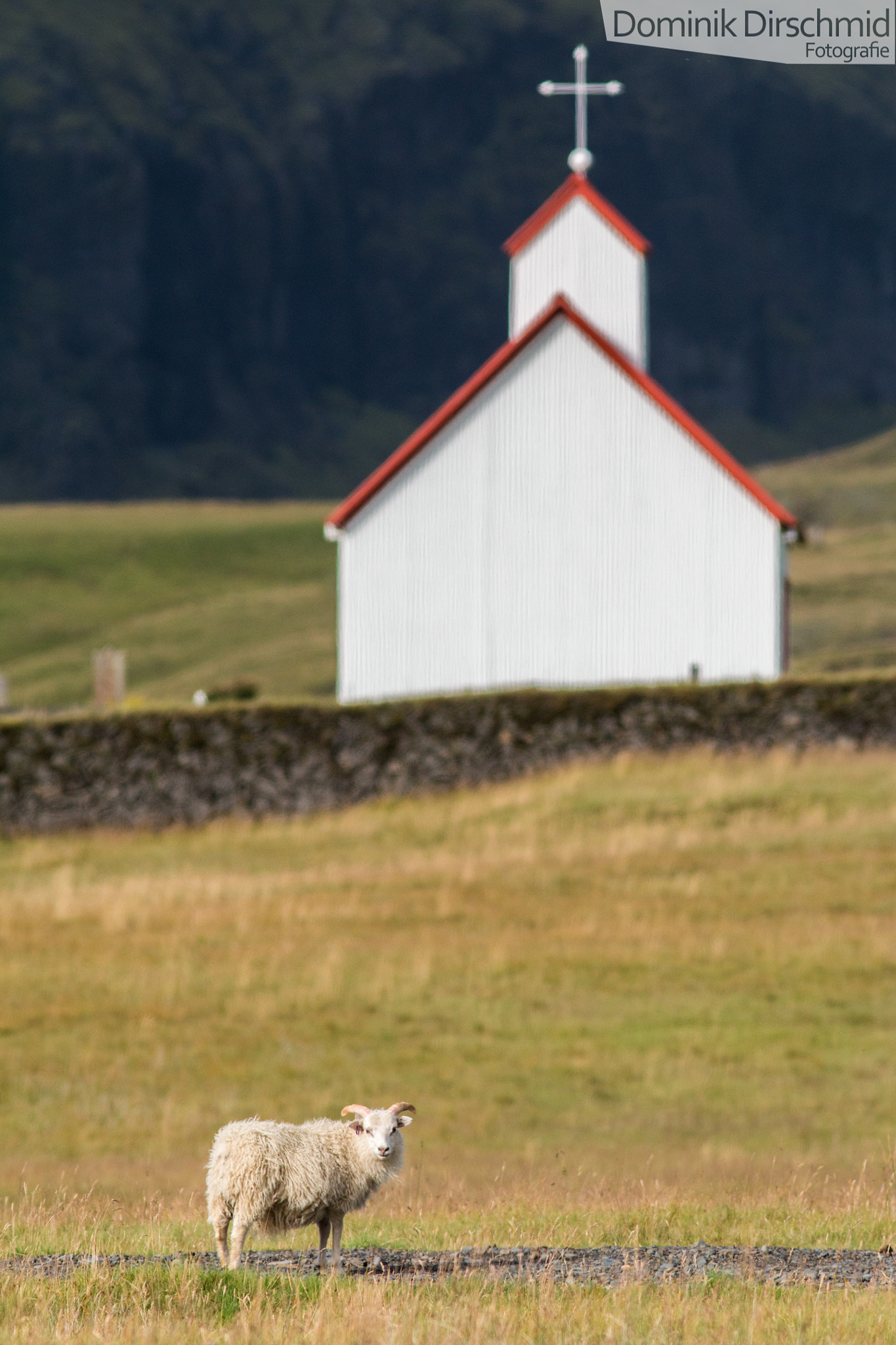 Canon EOS 70D + Canon EF 300mm F4L IS USM sample photo. Iceland photography