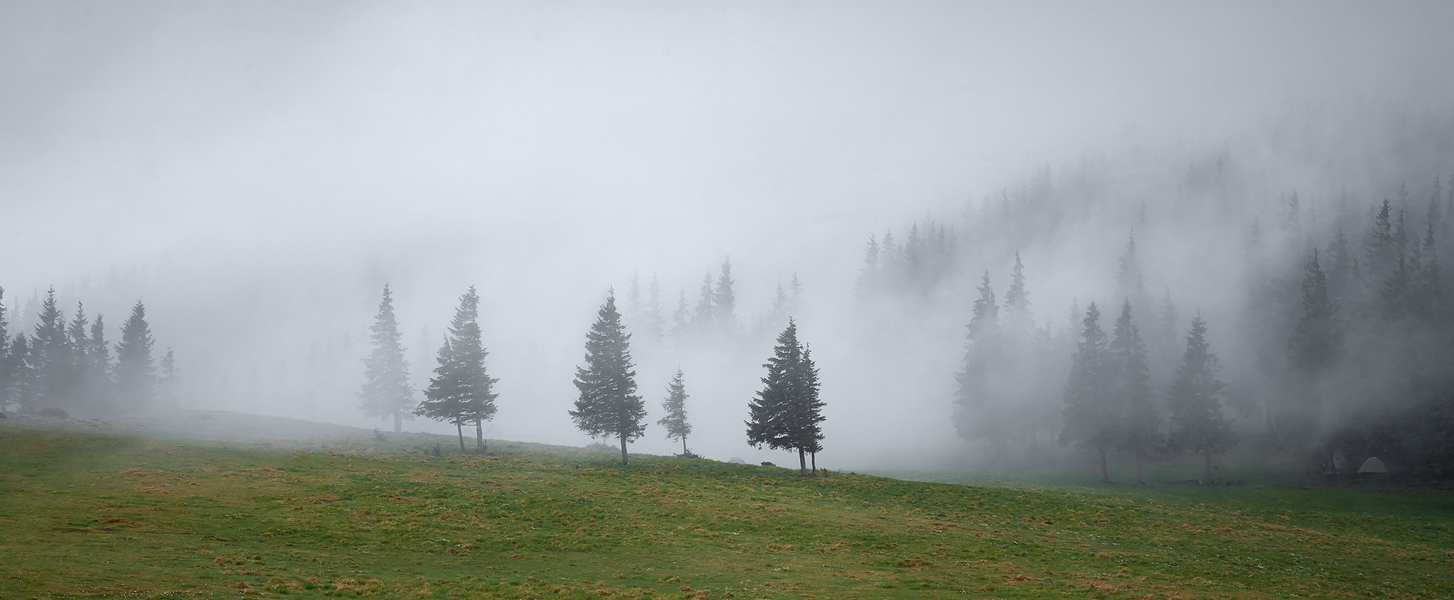 Canon EF 70-200mm F4L USM sample photo. The carpathians views photography