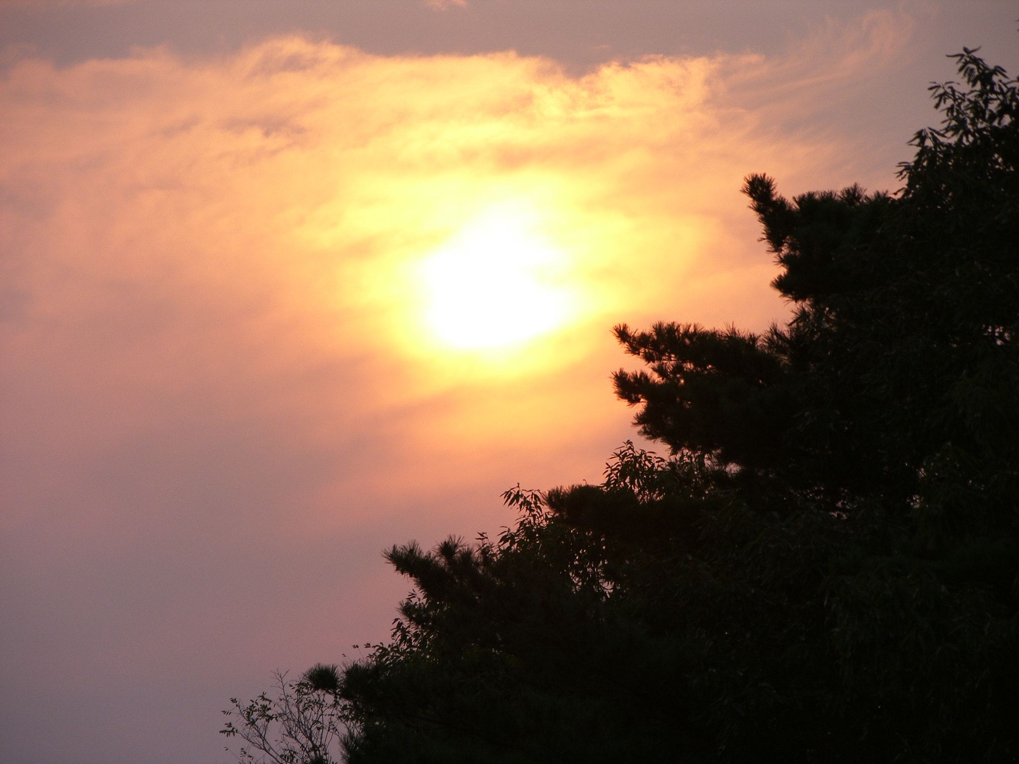 Samsung Pro 815 sample photo. The color of autumn photography