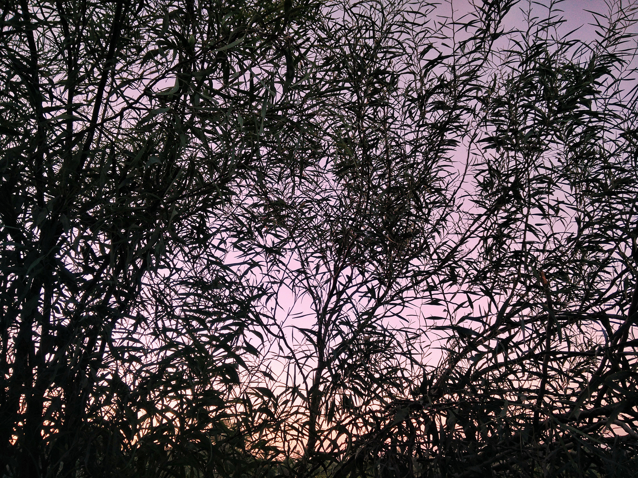 OPPO Find7 sample photo
