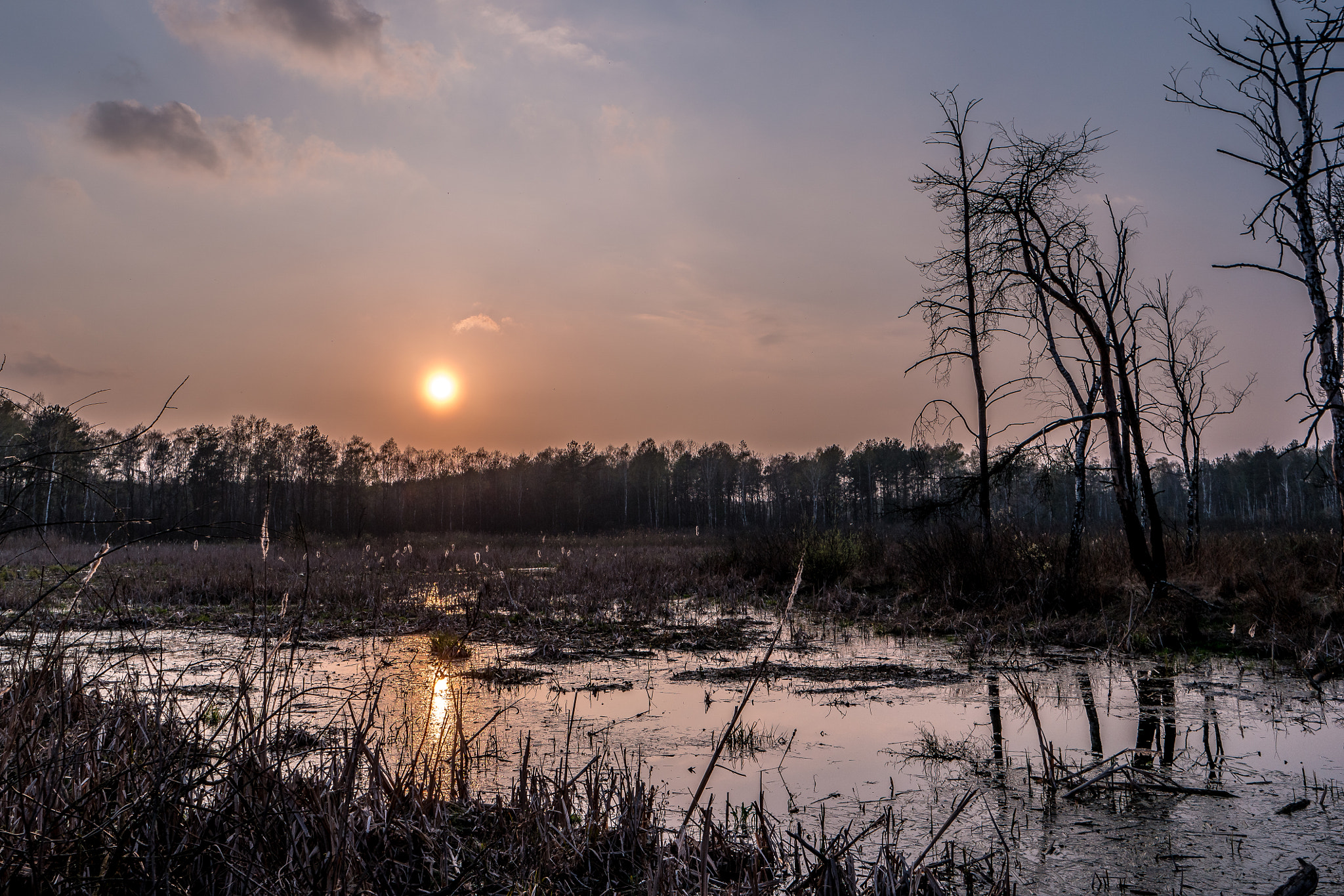 Samsung NX500 sample photo. Night&day photography