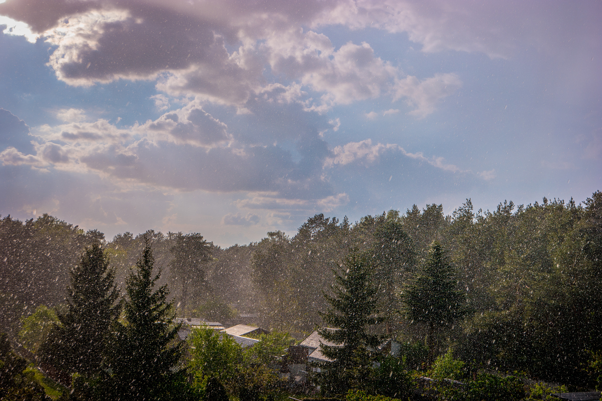 Samsung NX500 sample photo. Rain or snow photography