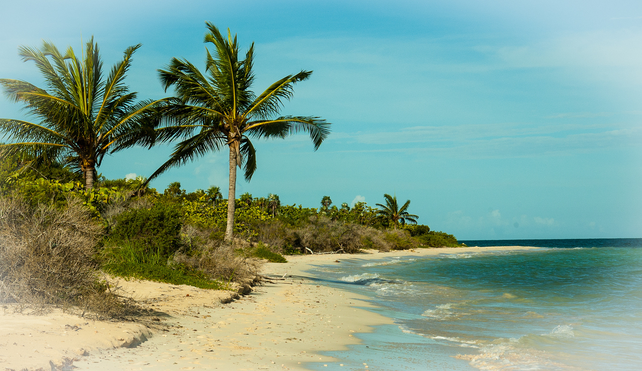 Nikon D70s sample photo. Beach impression photography