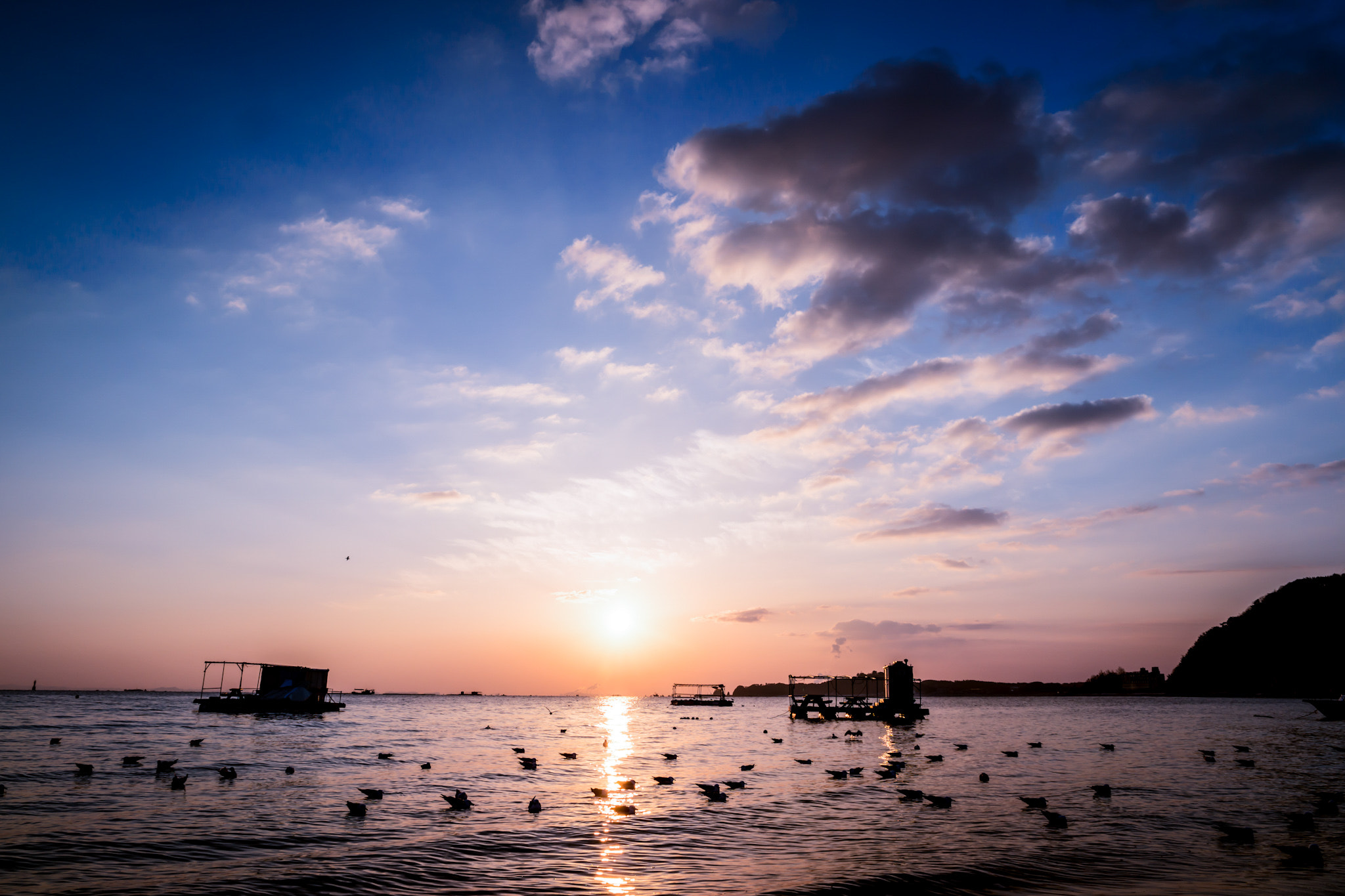 Saumsun NX 16-50mm F2-2.8 S ED OIS sample photo. Sun rise & sea gulls photography