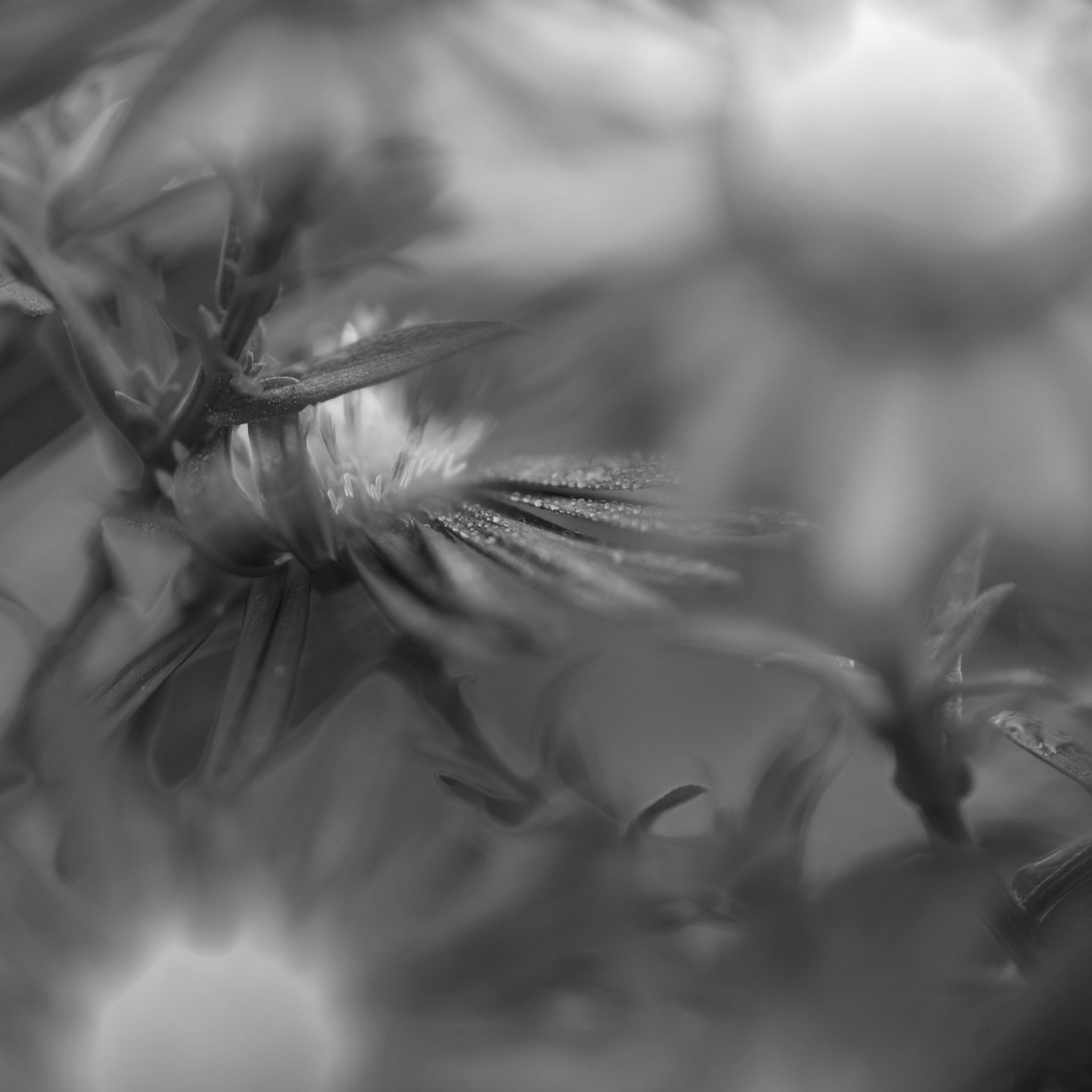 Nikon D3 sample photo