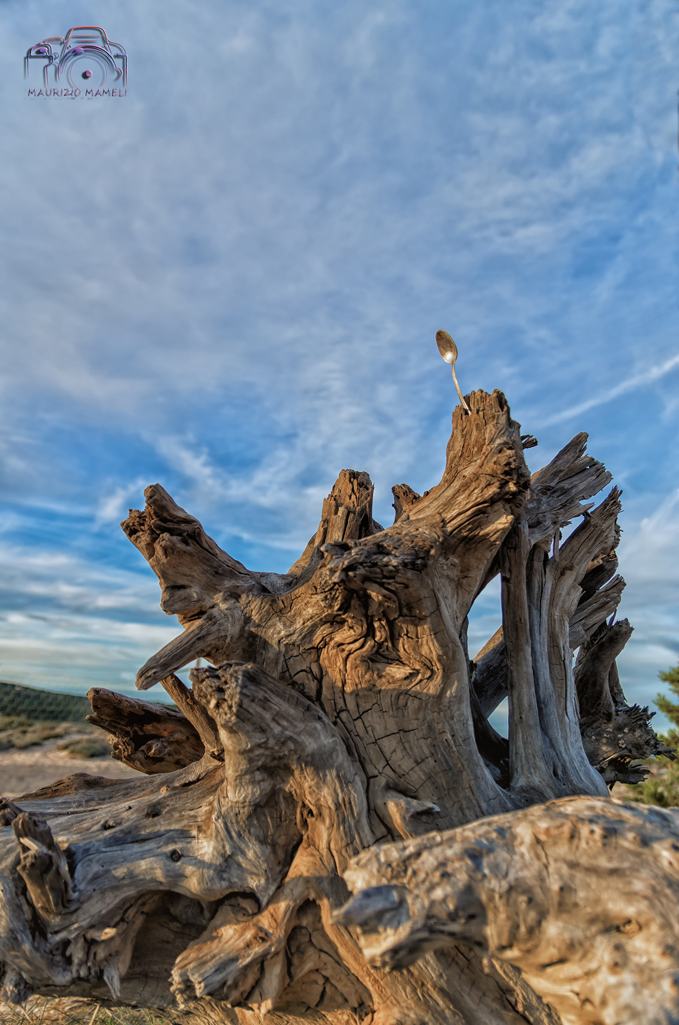 Sigma 17-50mm F2.8 EX DC HSM sample photo. Teaspoon photography