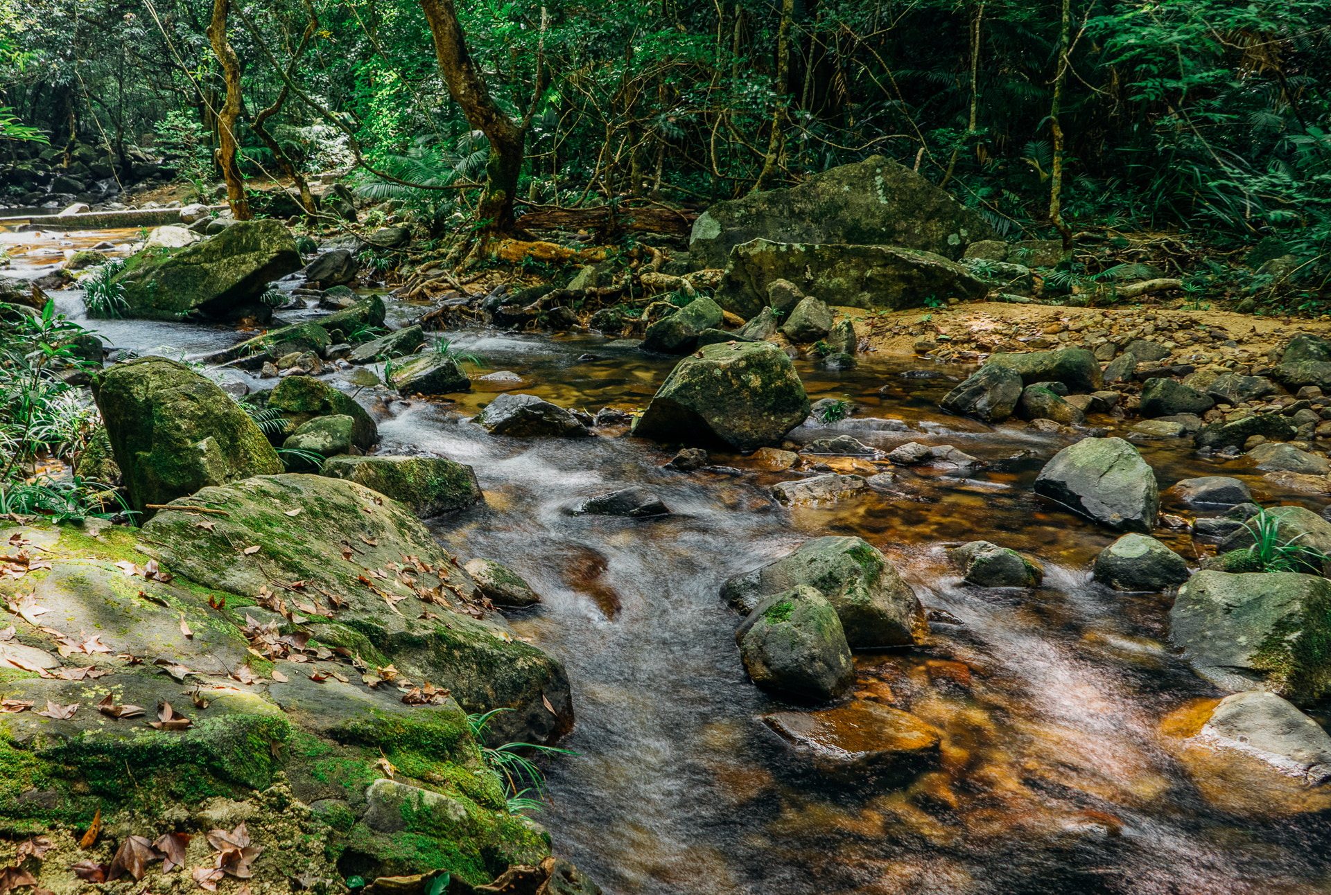 Sony a7 II + Sony FE 28mm F2 sample photo. Hong kong country park photography