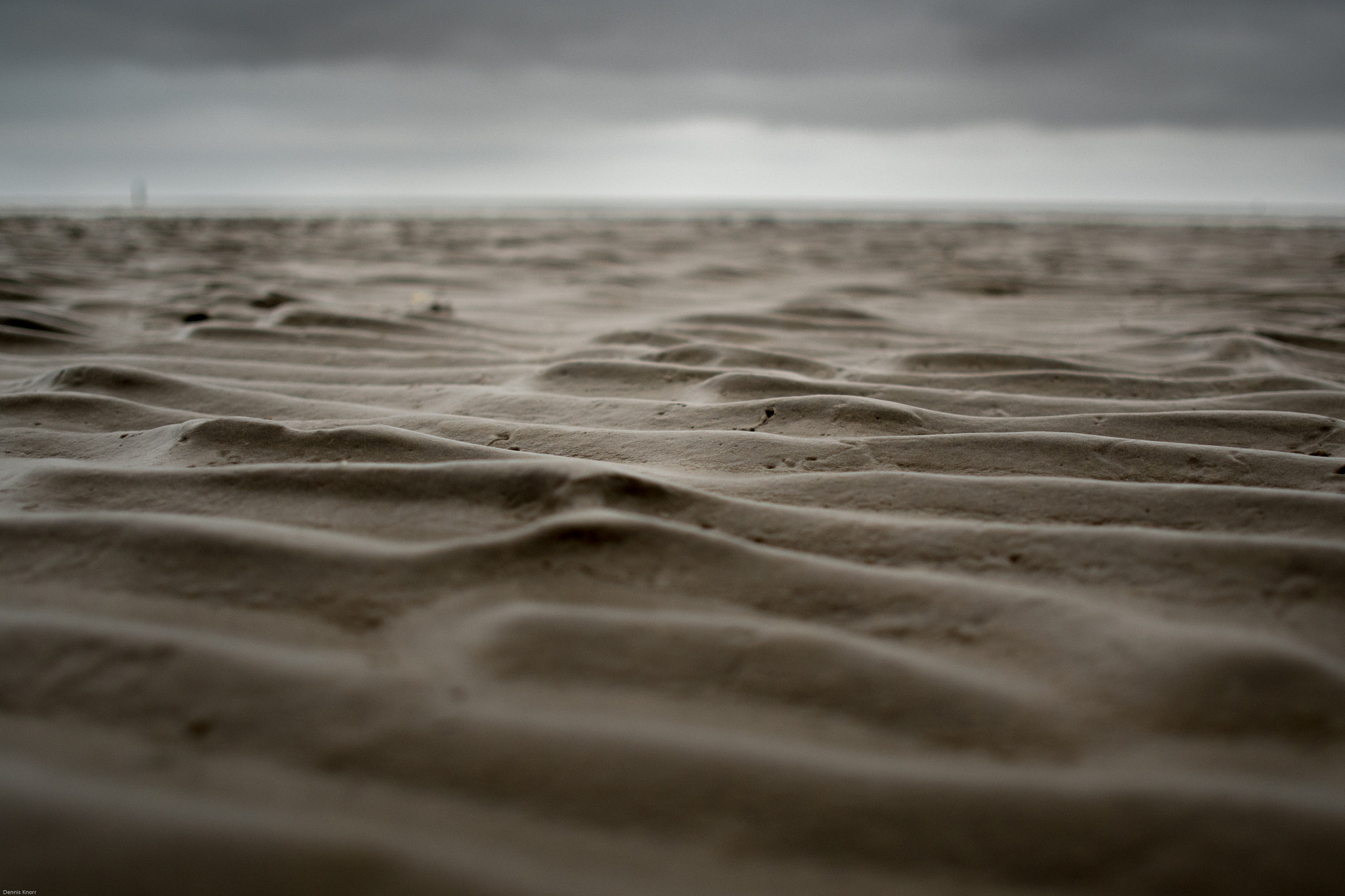 Sigma 19mm F2.8 EX DN sample photo. Desert of cuxhaven photography