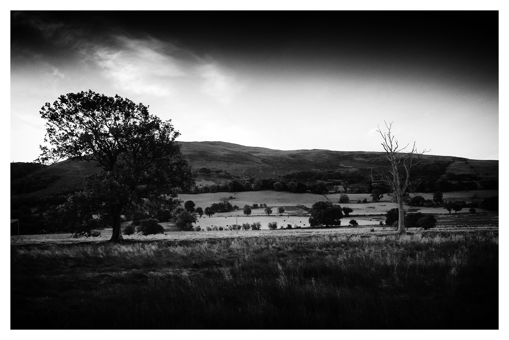 Nikon D200 + Sigma 10-20mm F3.5 EX DC HSM sample photo. Derwent photography
