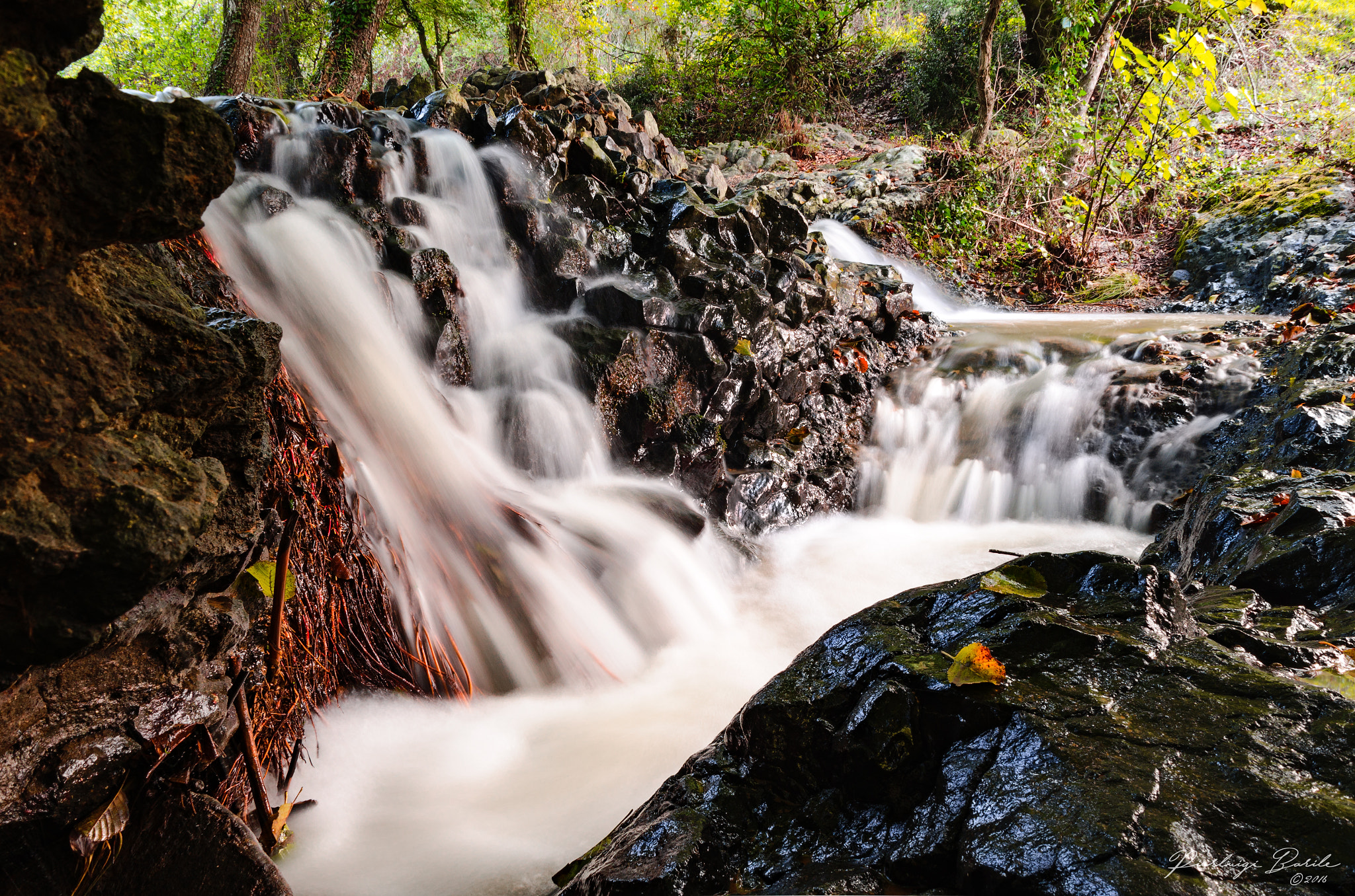 Torrente