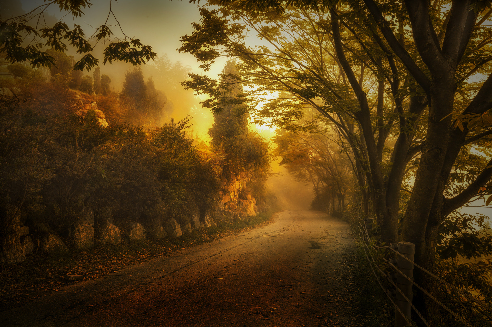 Canon EOS 5D Mark II + Canon EF 16-35mm F4L IS USM sample photo. The road.(소화묘원) photography