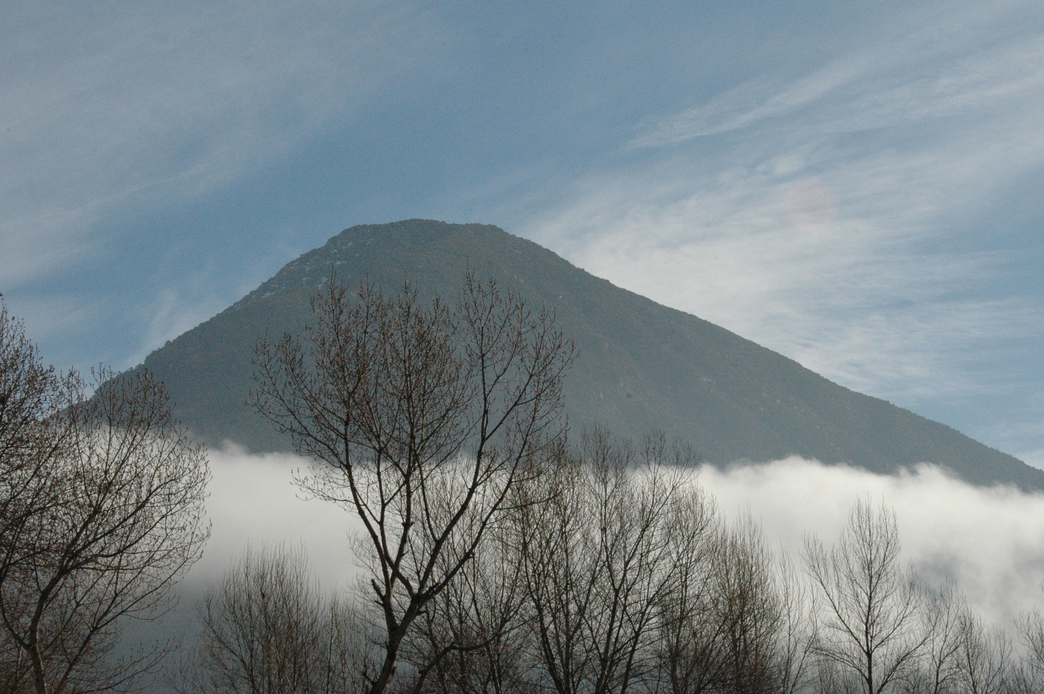 Nikon D70 sample photo. Niebla photography