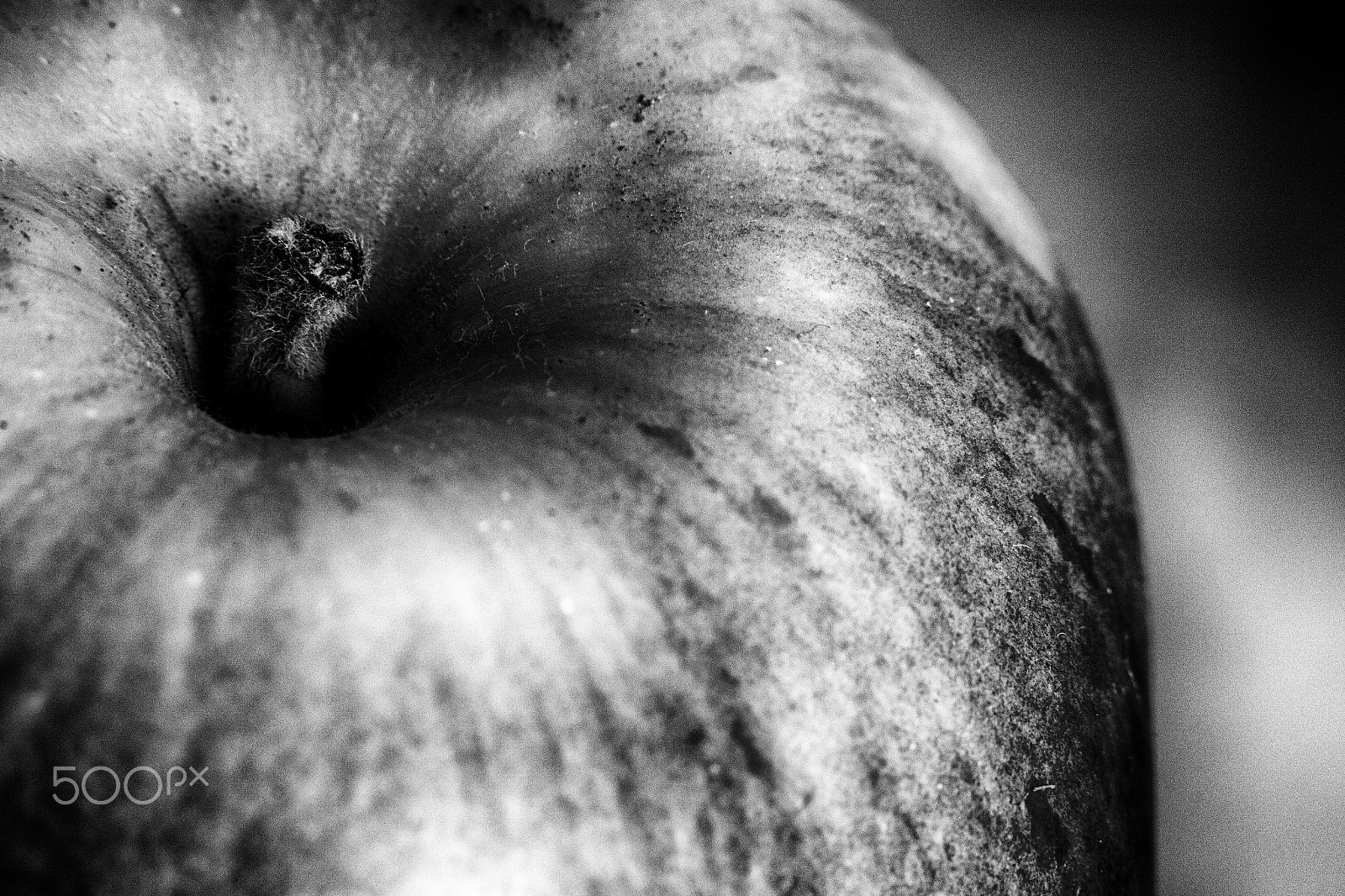Samsung NX 20-50mm F3.5-5.6 ED sample photo. Apple dramatic photography