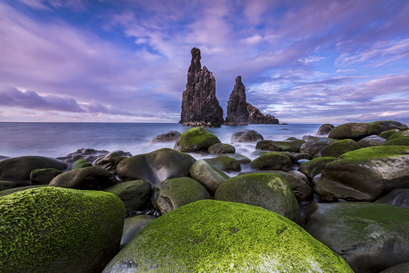 Sigma 12-24mm F4.5-5.6 II DG HSM sample photo. Touch the sky photography