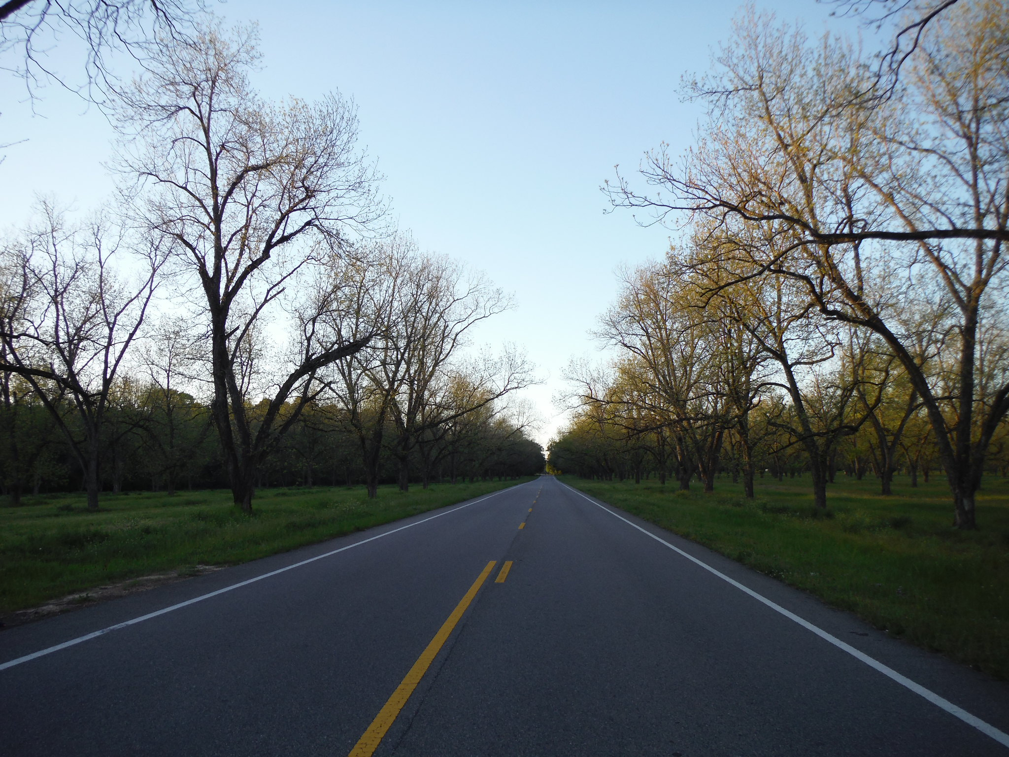 Fujifilm FinePix XP70 XP71 XP75 sample photo. South georgia back roads. photography