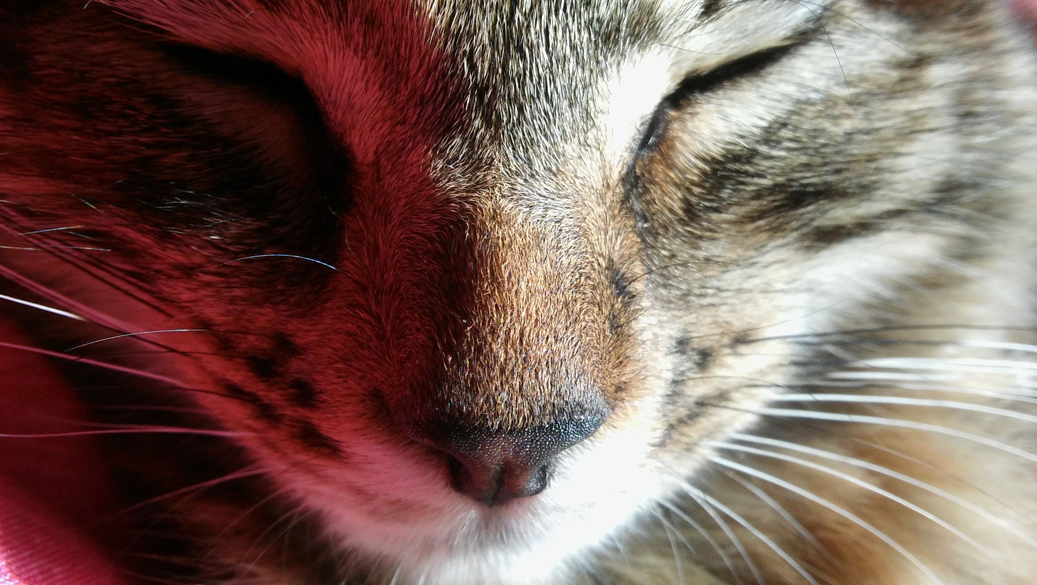 LG SPIRIT 4G LTE sample photo. Echo photography