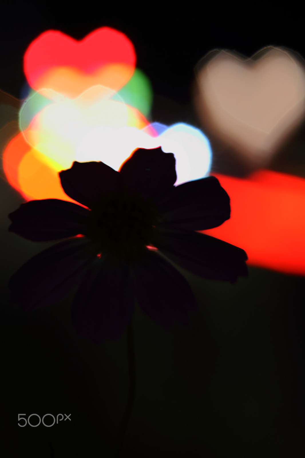 Canon EOS 700D (EOS Rebel T5i / EOS Kiss X7i) sample photo. Adult time photography