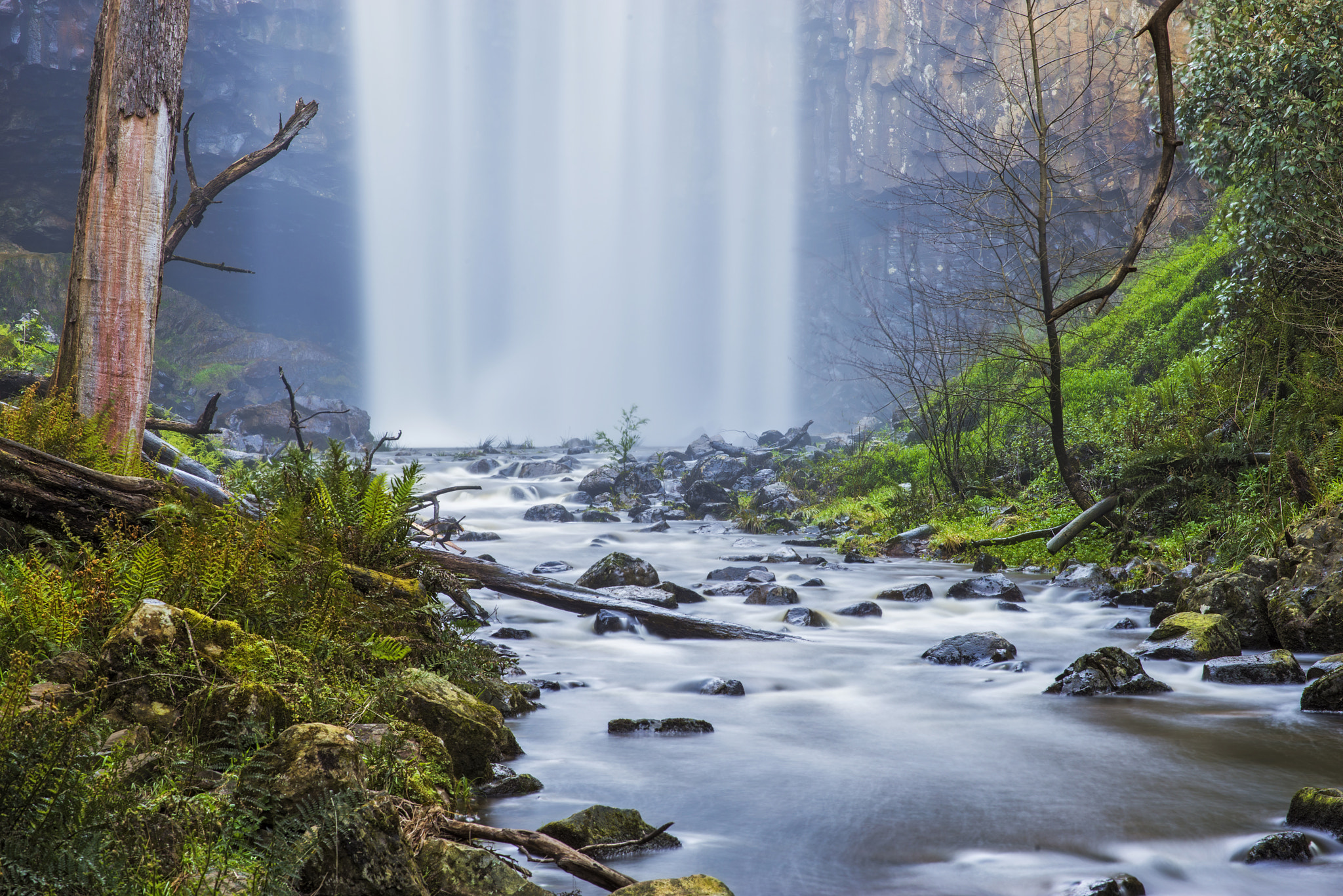 Nikon D800E + Nikon AF-S Nikkor 85mm F1.8G sample photo. Trentham falls photography