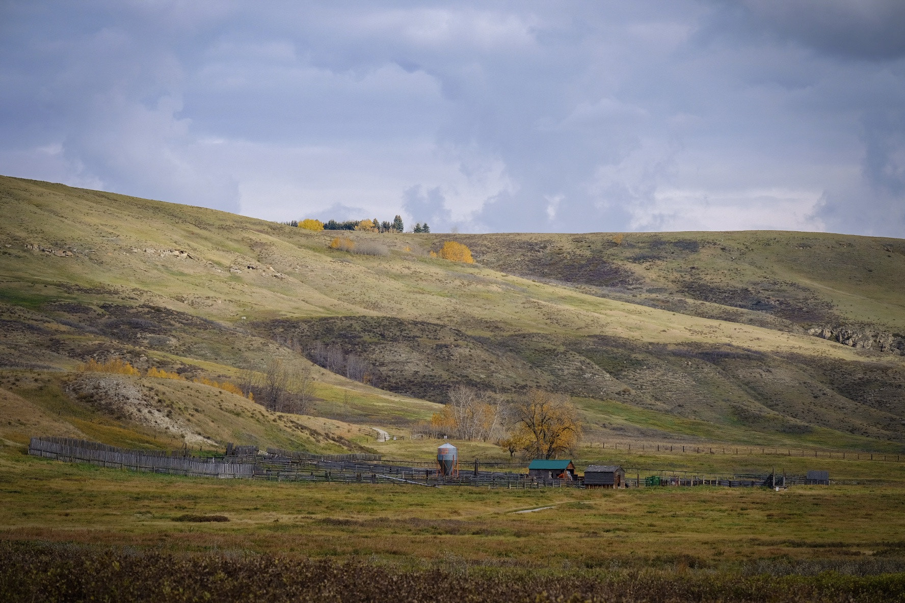 Fujifilm X-Pro2 + Fujifilm XF 55-200mm F3.5-4.8 R LM OIS sample photo. The ranch photography