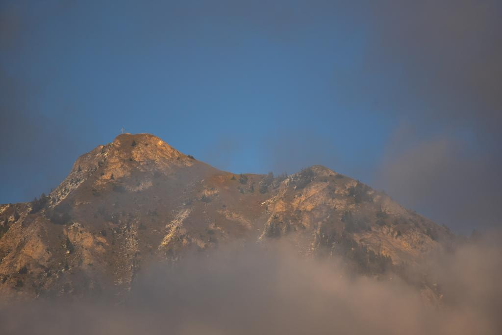 Sigma 150-500mm F5-6.3 DG OS HSM sample photo. Güpfi photography