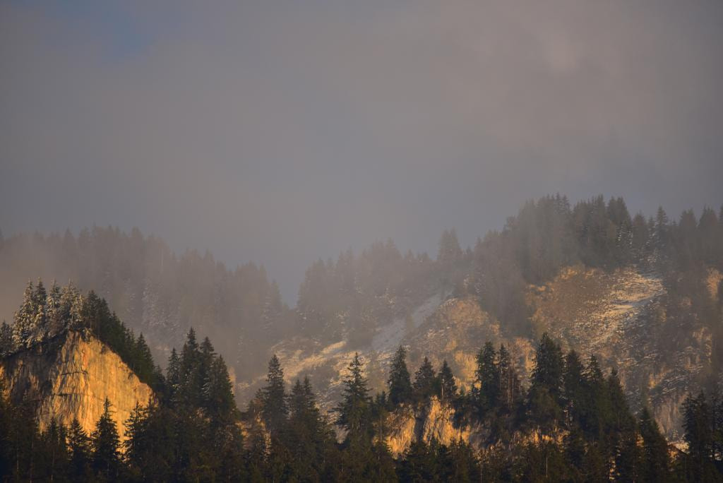 Sigma 150-500mm F5-6.3 DG OS HSM sample photo. Blick vom balkon photography