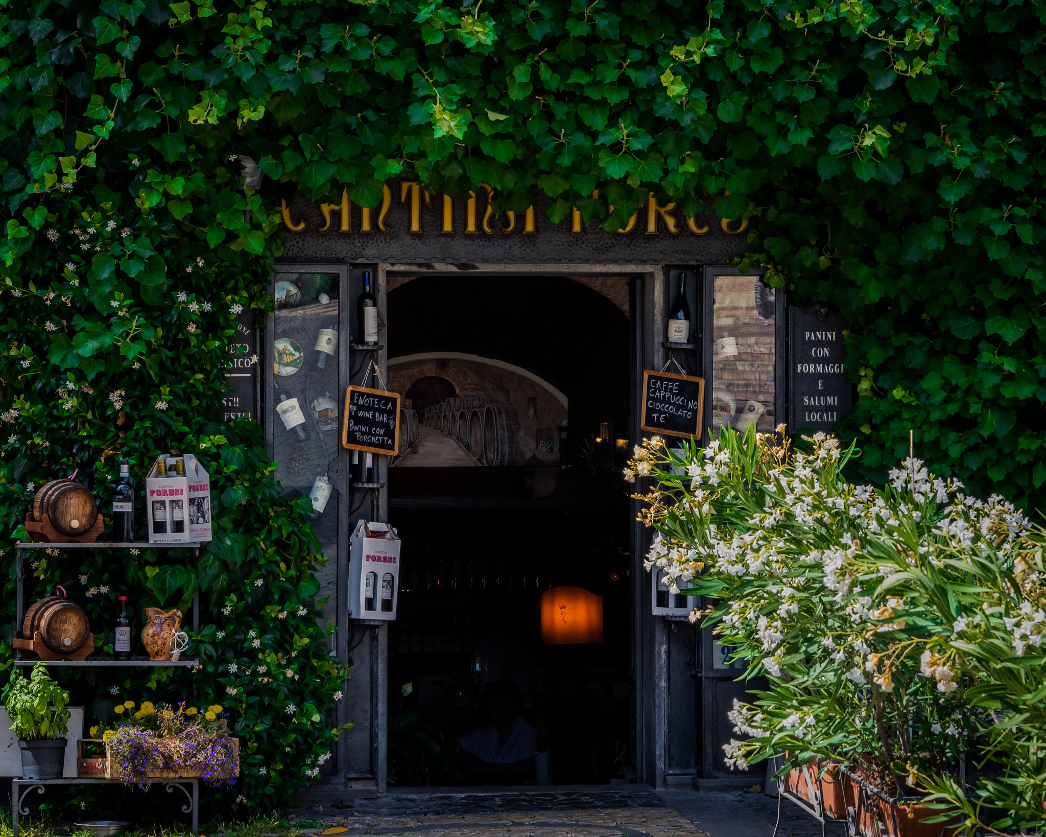 Nikon D5 sample photo. Orvieto italy photography